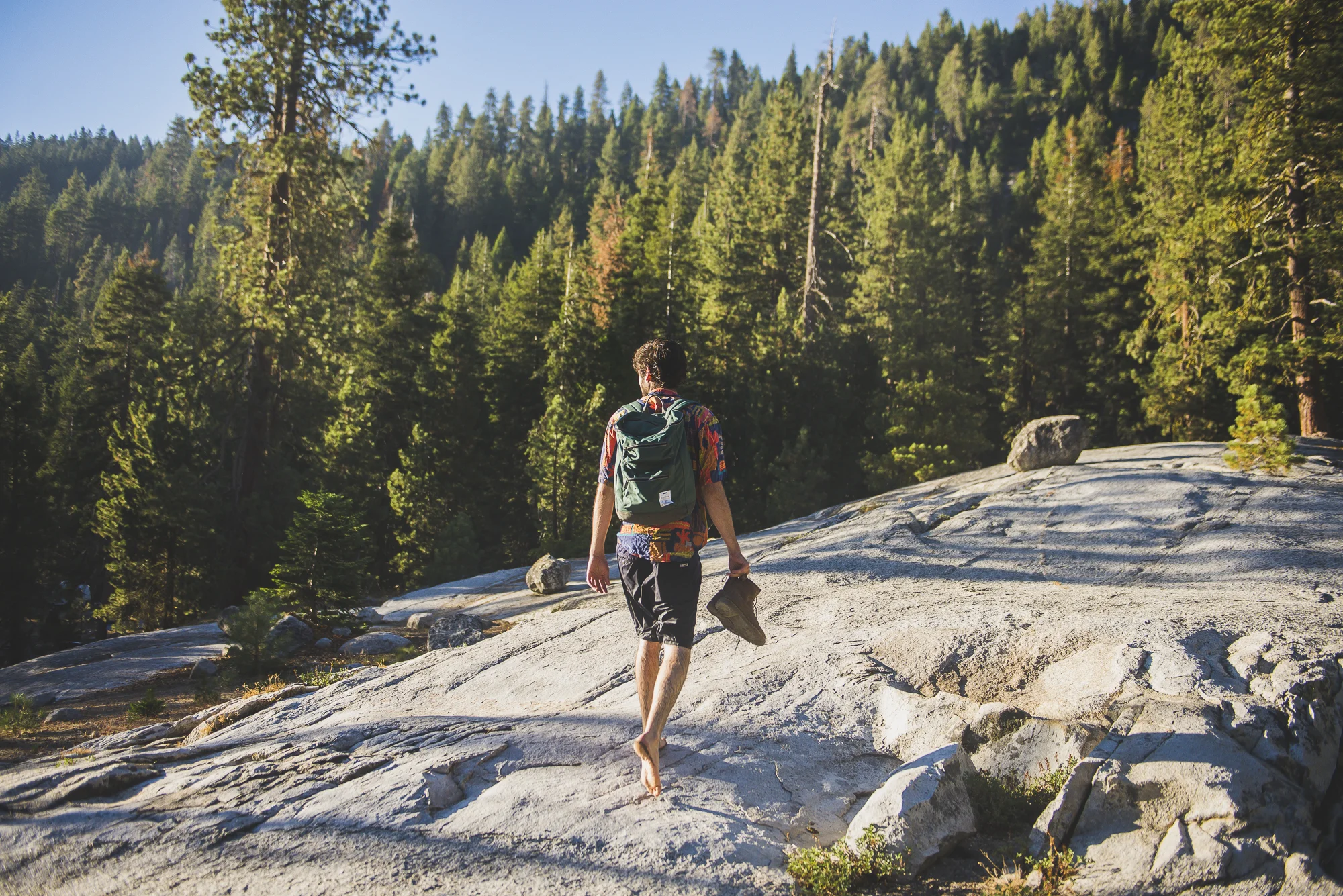sequoia national park, california