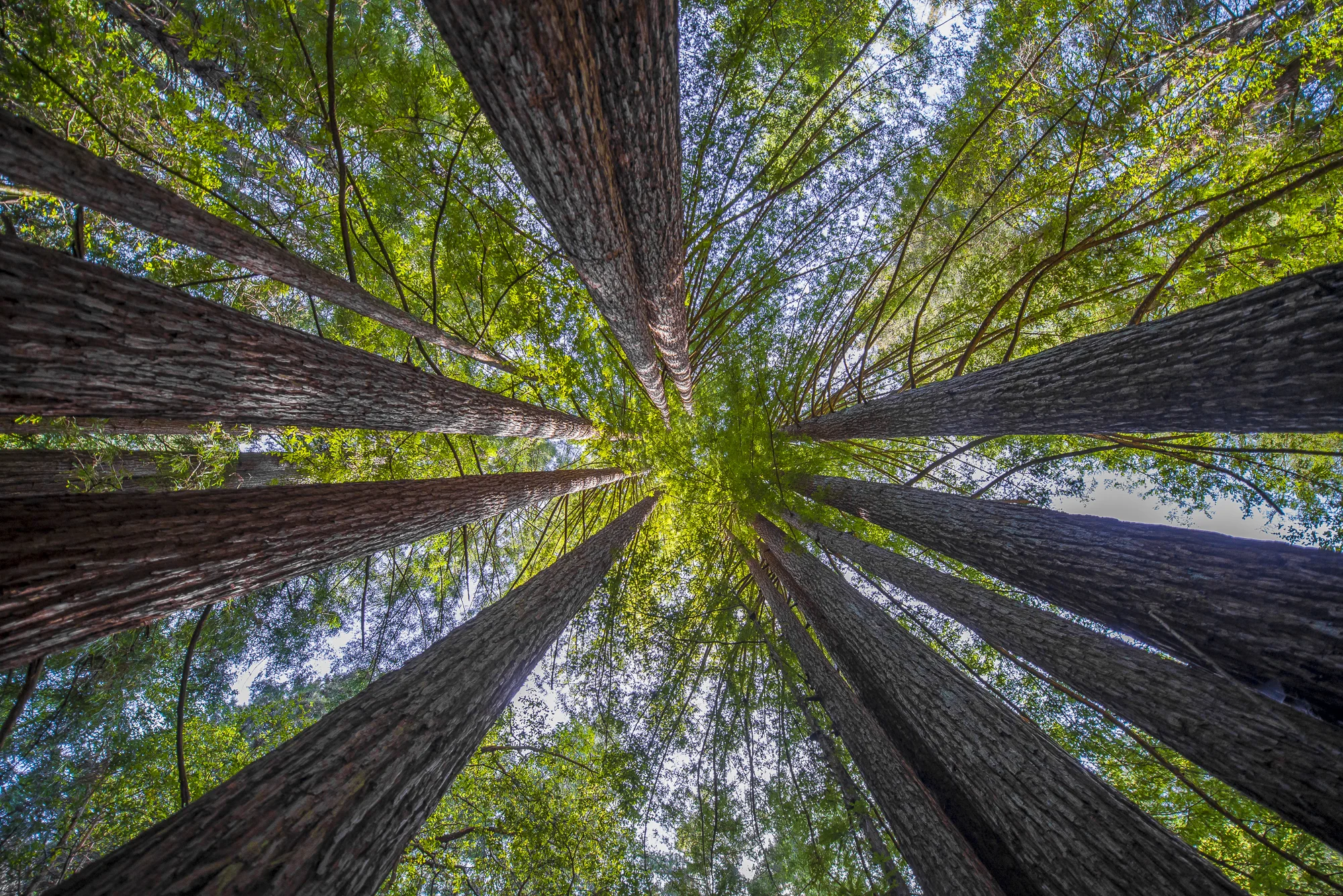santa cruz, california