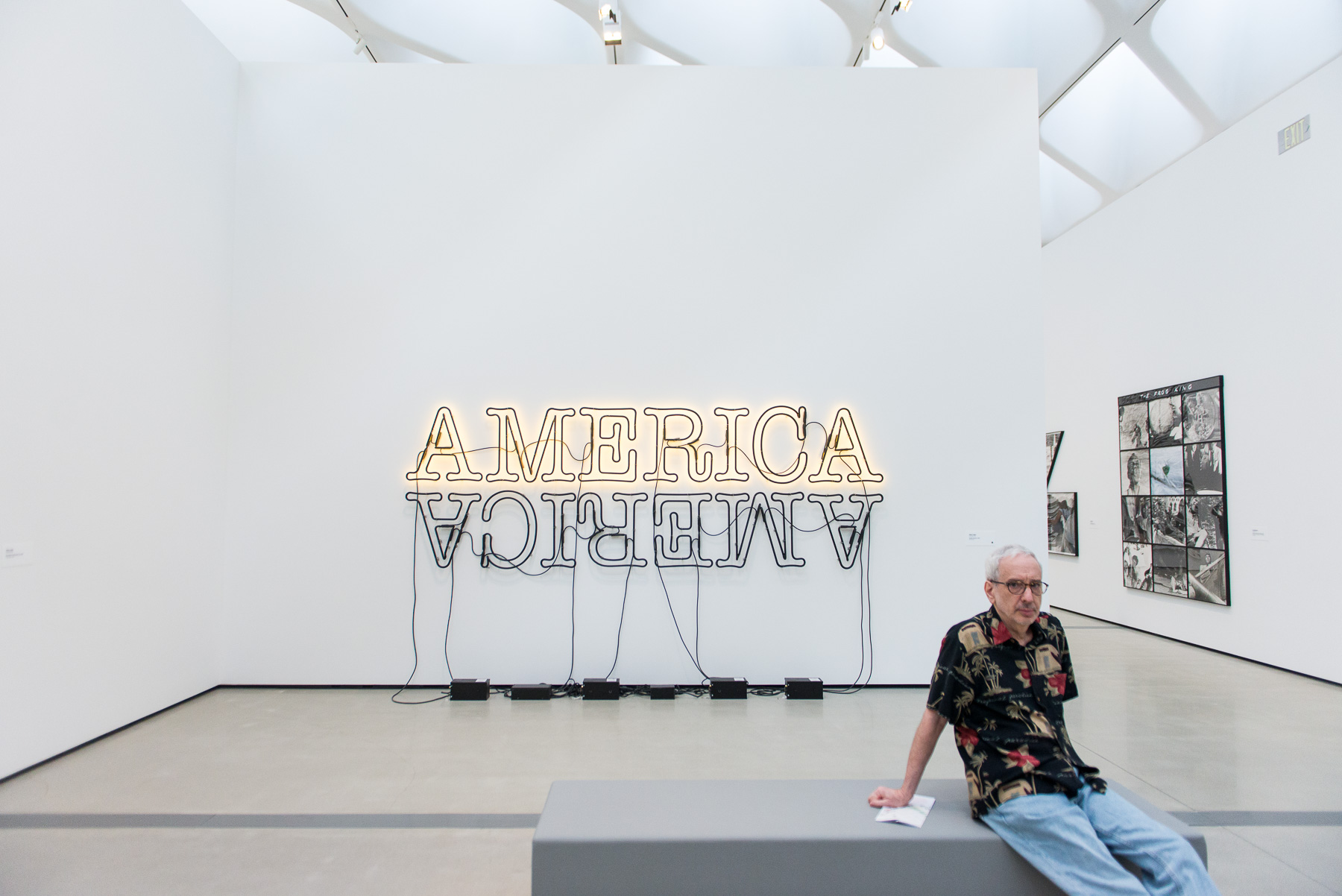Glenn Ligon - 'Double America 2'