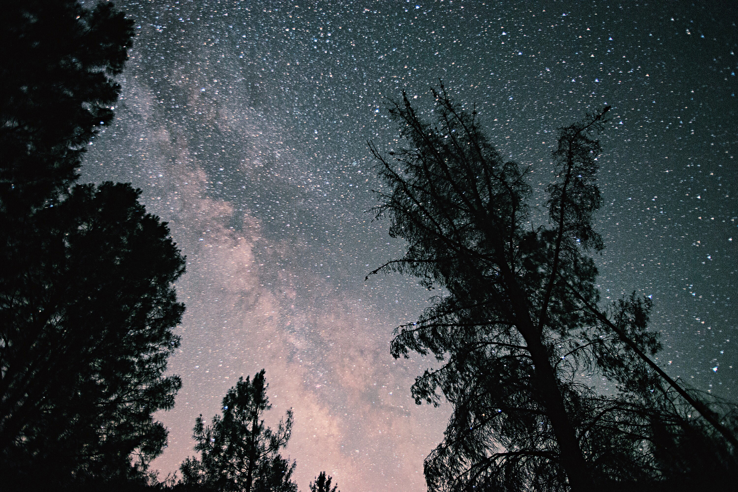 Processed with VSCO with c1 preset