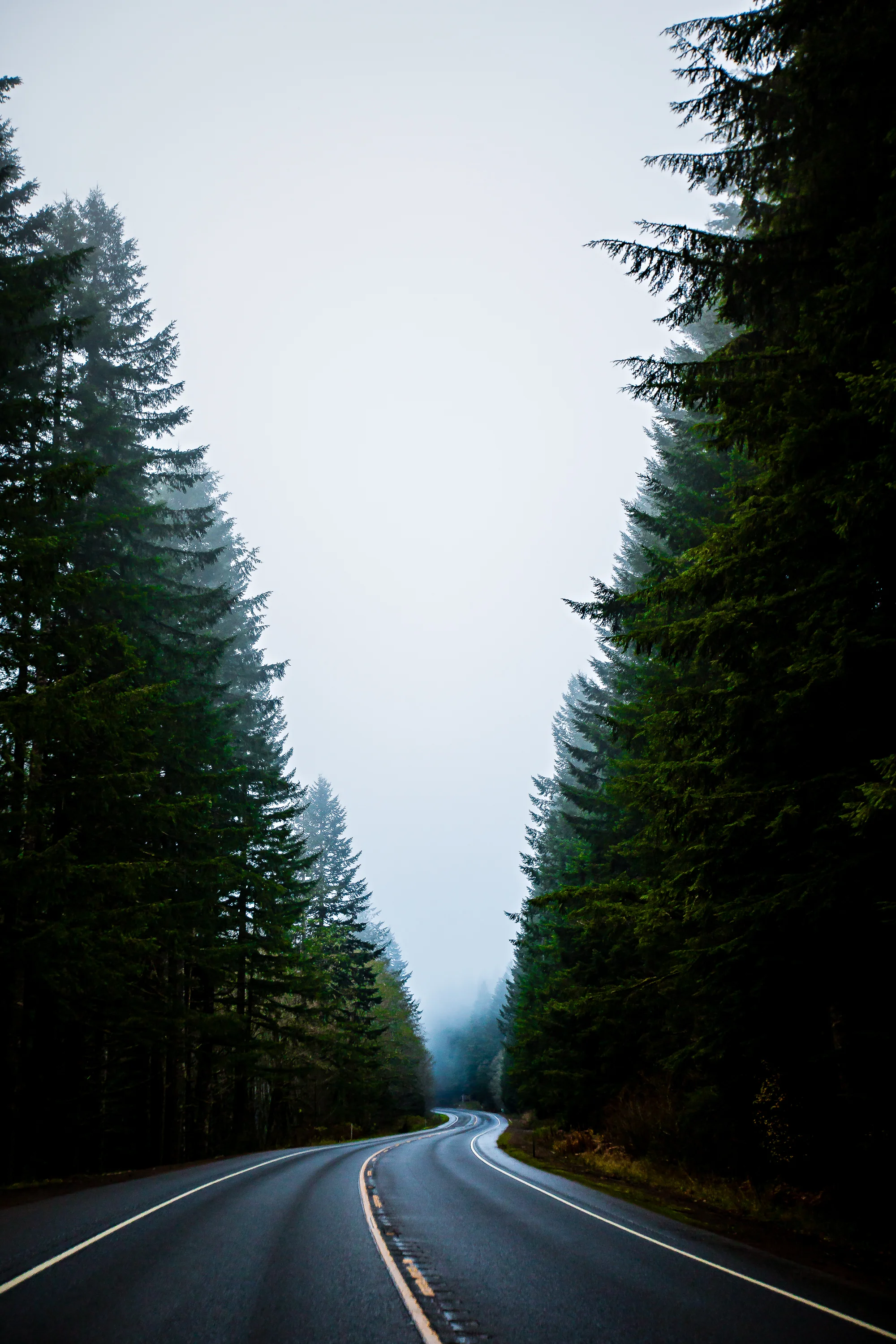 november in oregon