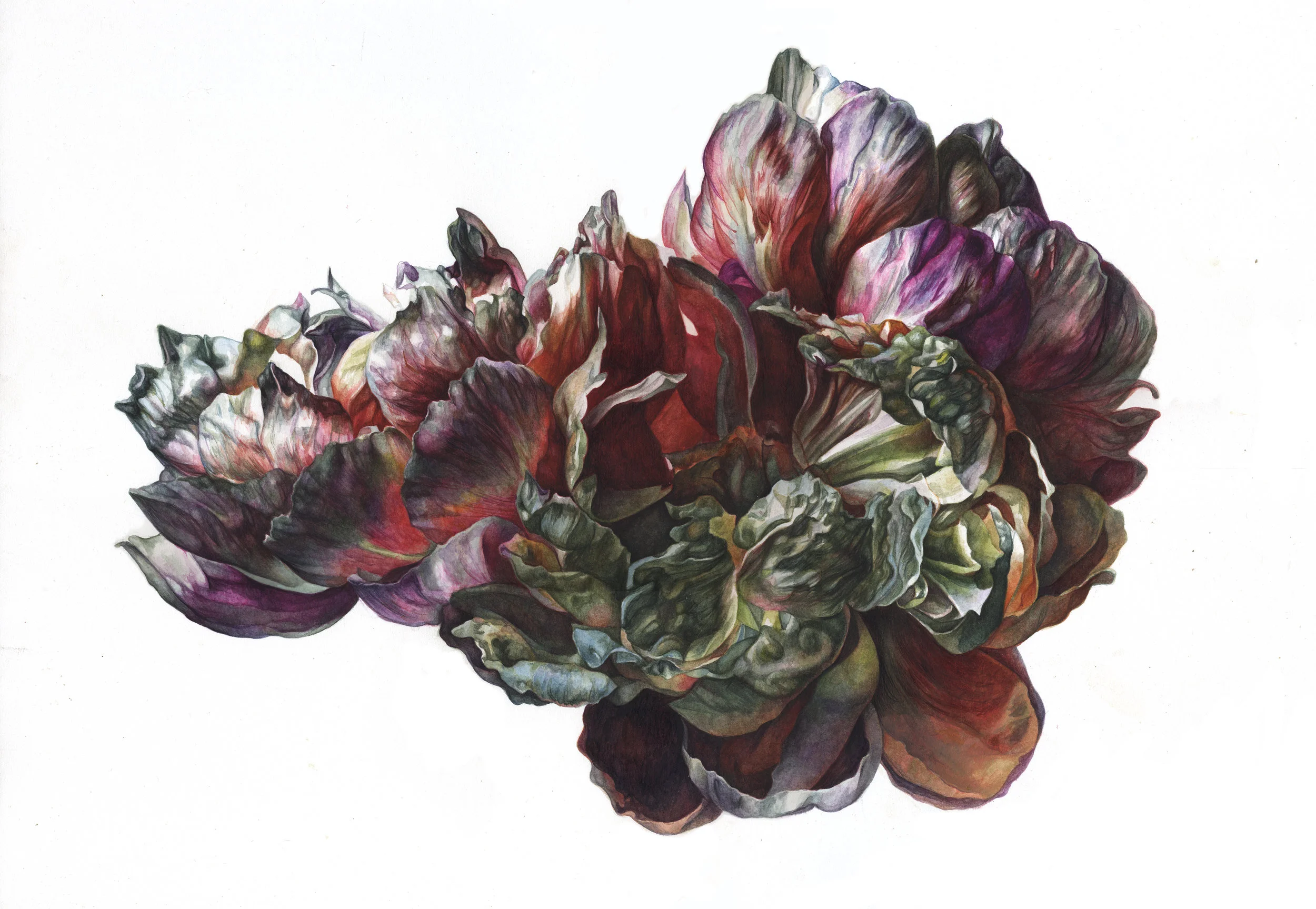 No. 25 (14 x 18 inches)
