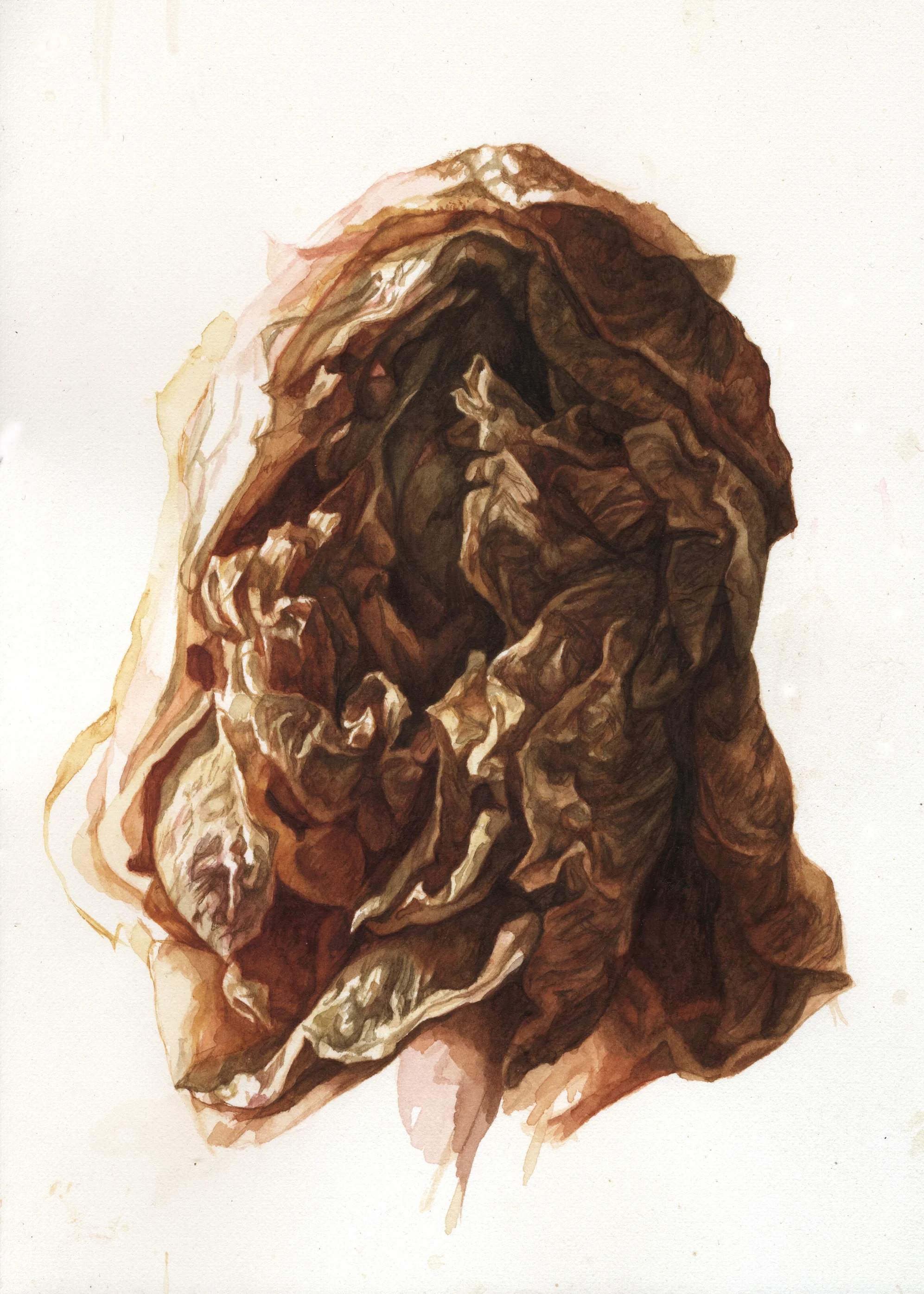 No. 17 (9 x 7 inches)