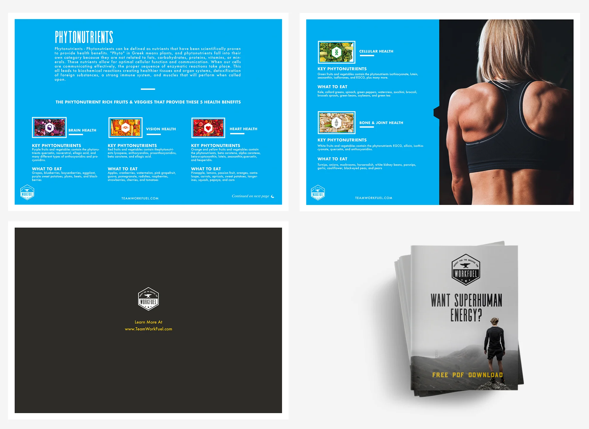 Workfuel_pdf_2.jpg