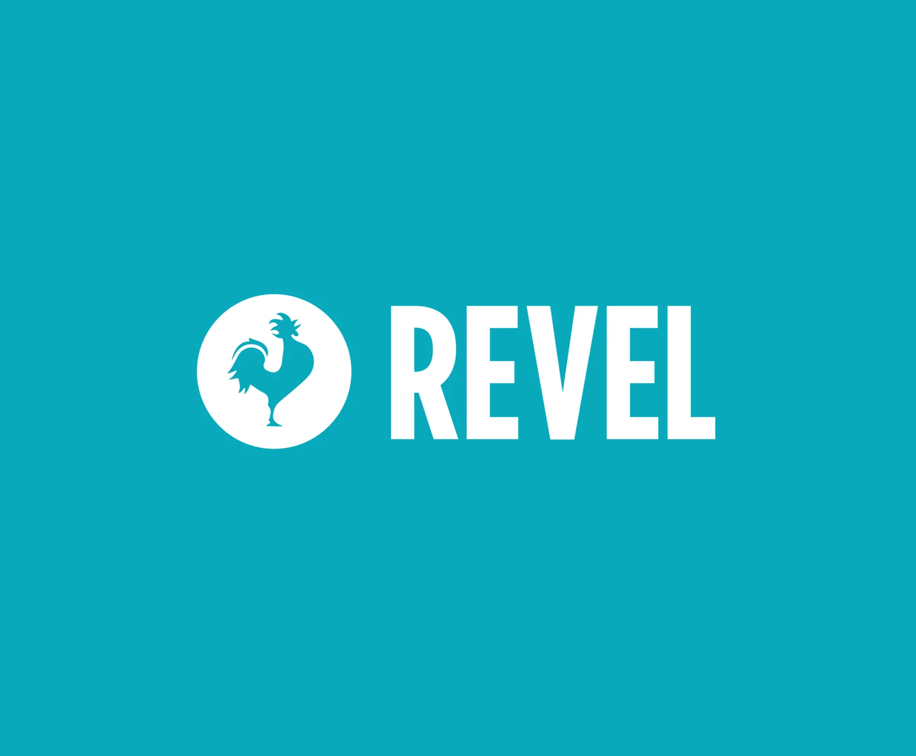Client: REVEL