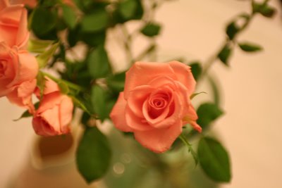 IMG_7665.JPG