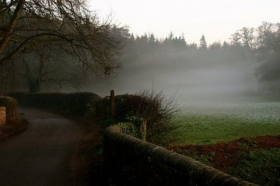 3255676982_01b24660ac.jpg