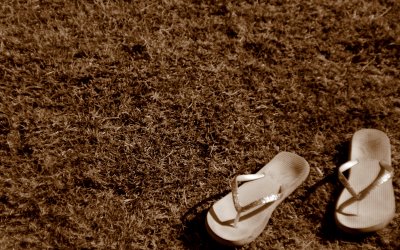 IMG_9426b.jpg