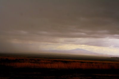 IMG_8376b.jpg