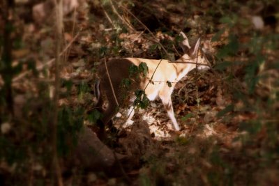 IMG_3079edited.jpg