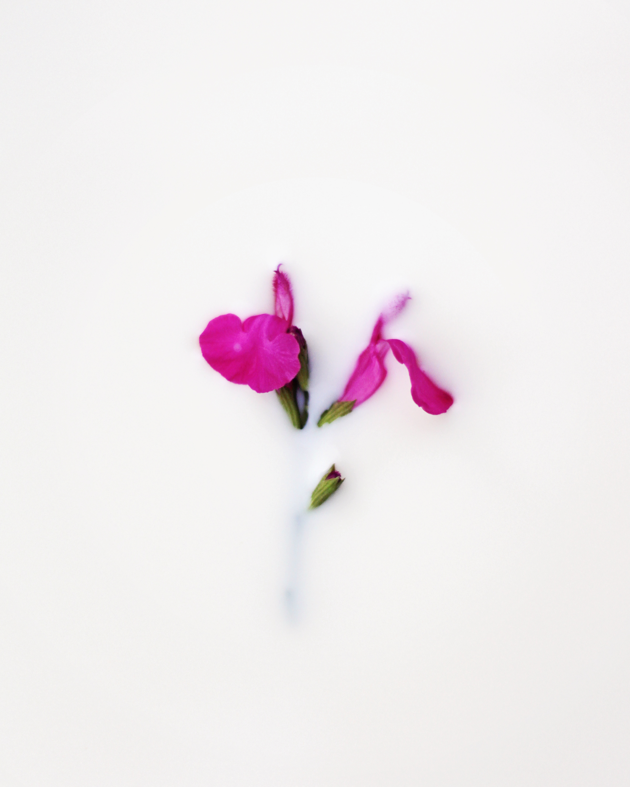 20140917_5841 2400.jpg