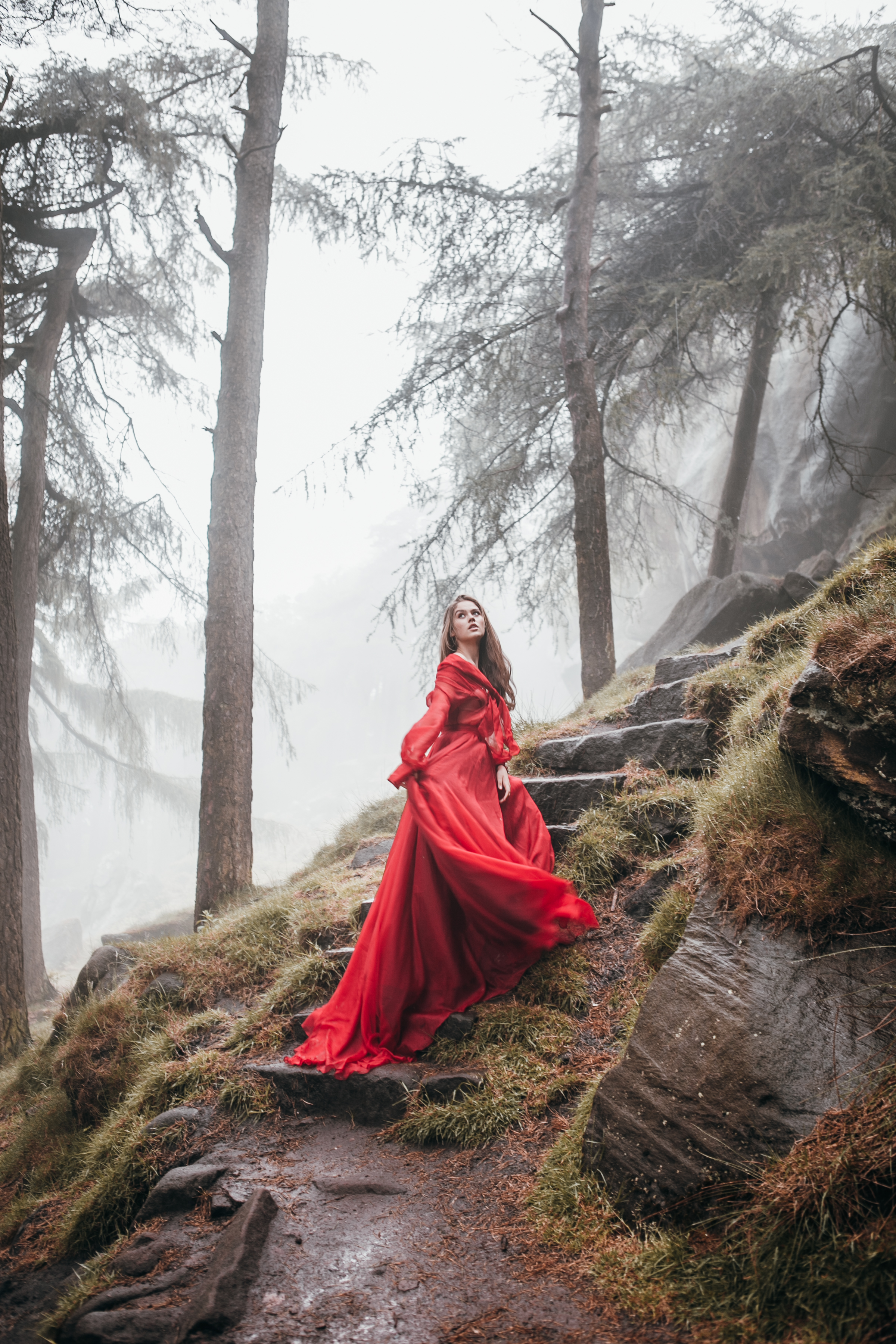 Red-3.jpg