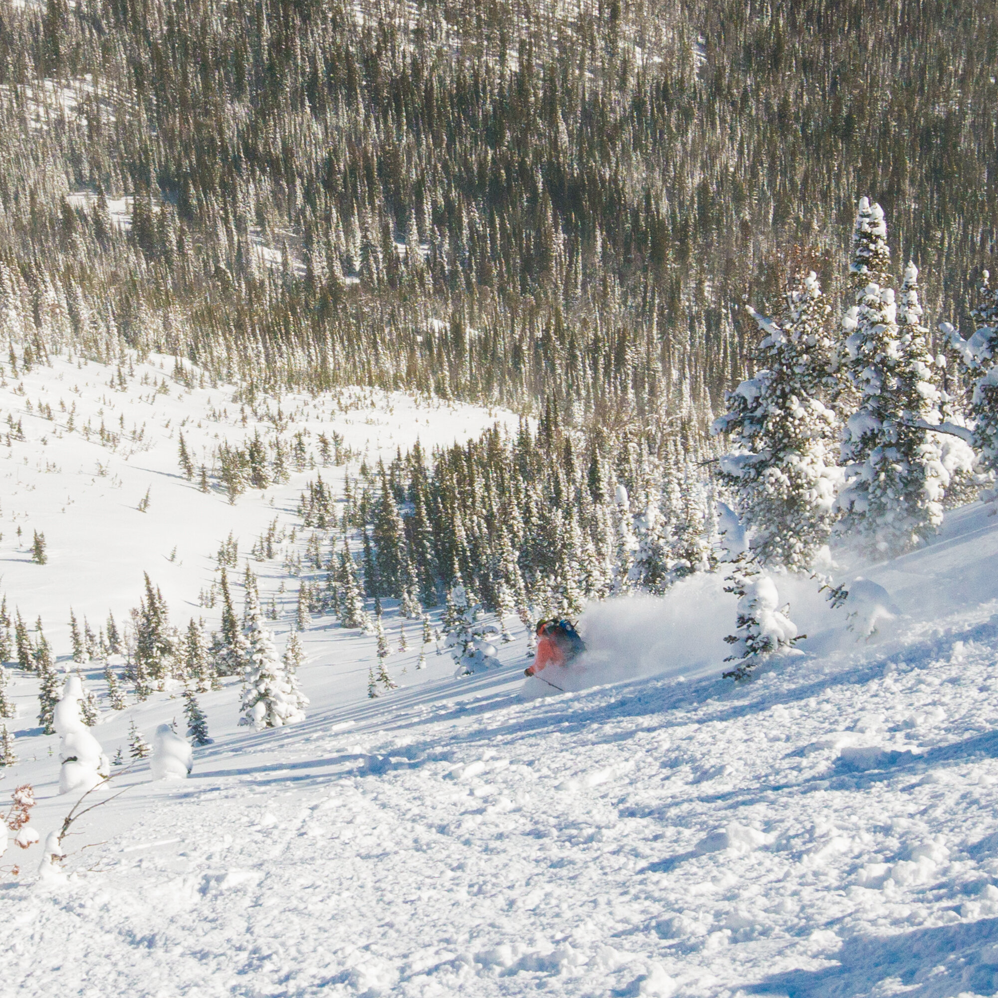 Big Sky Ski Guides