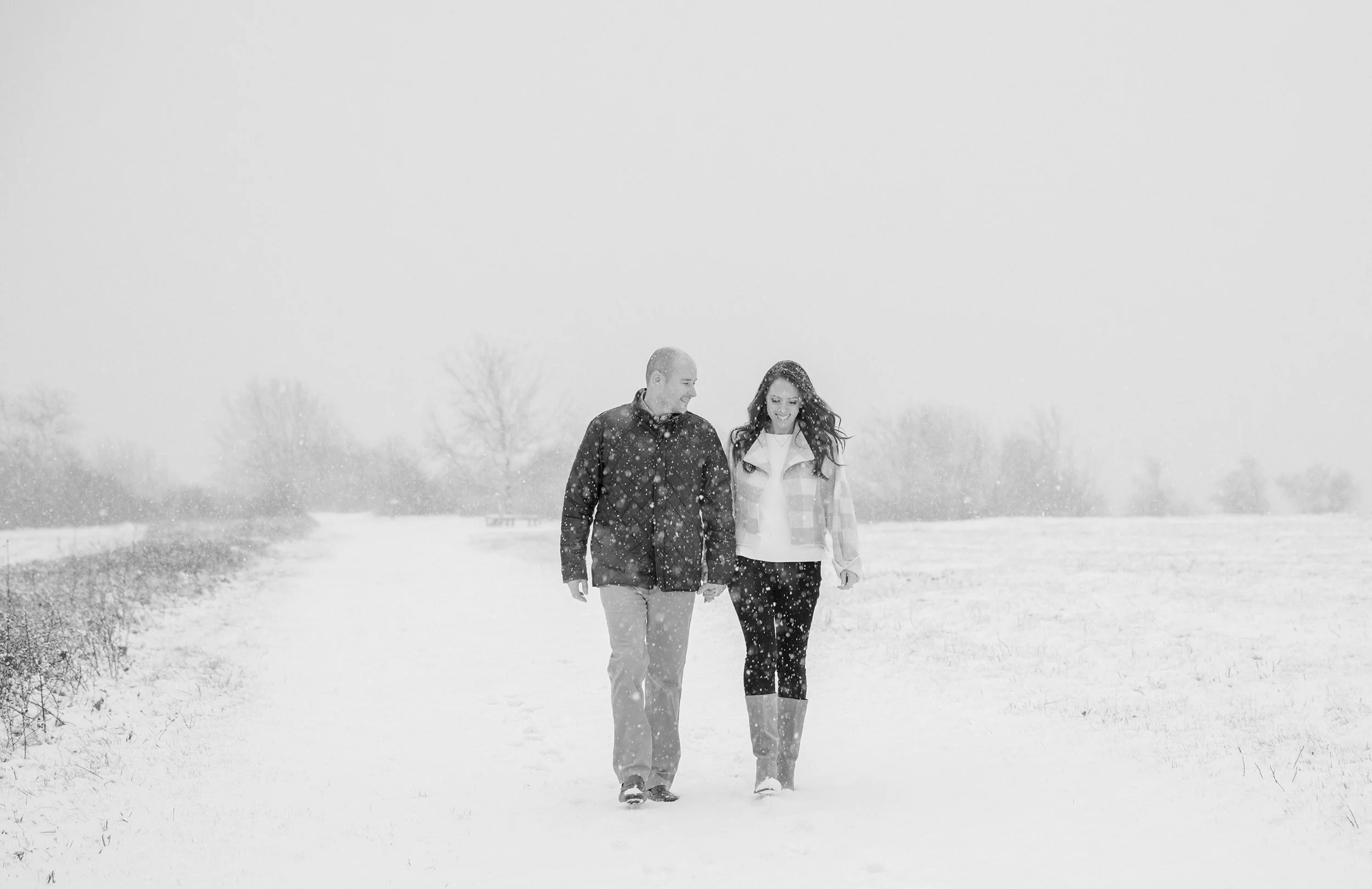 snowy day at laudholm farm