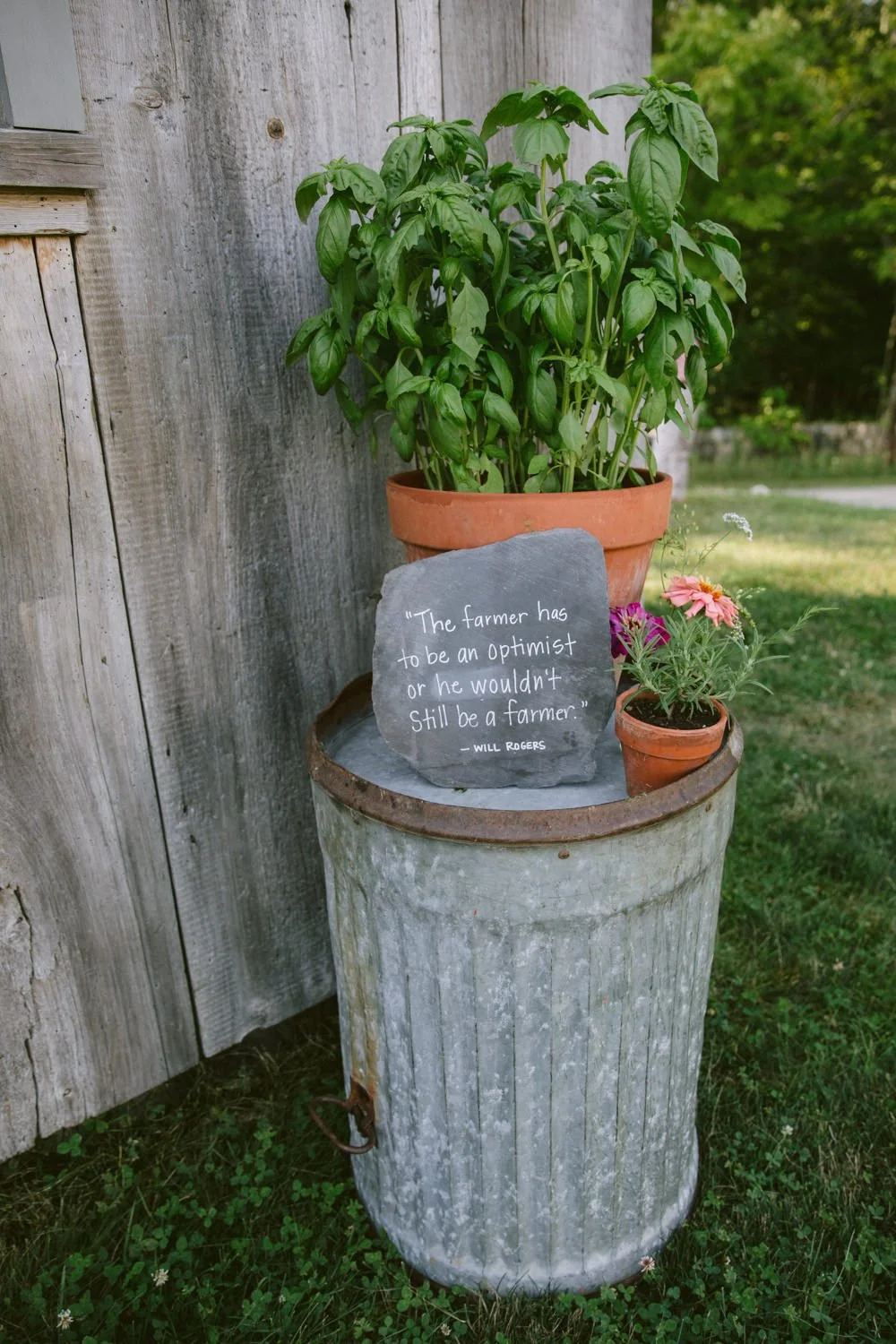 wanderwood_maine_16.jpg