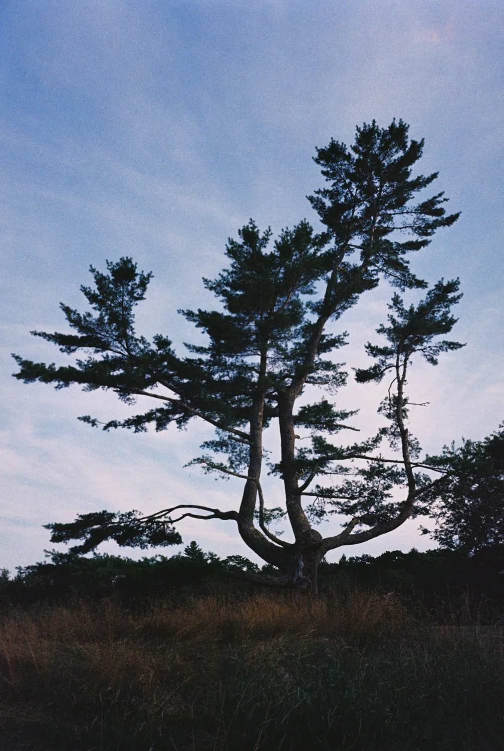 maine_wedding_film_photographer6.jpg