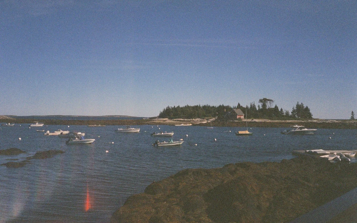 maine_wedding_film_photographer9.jpg