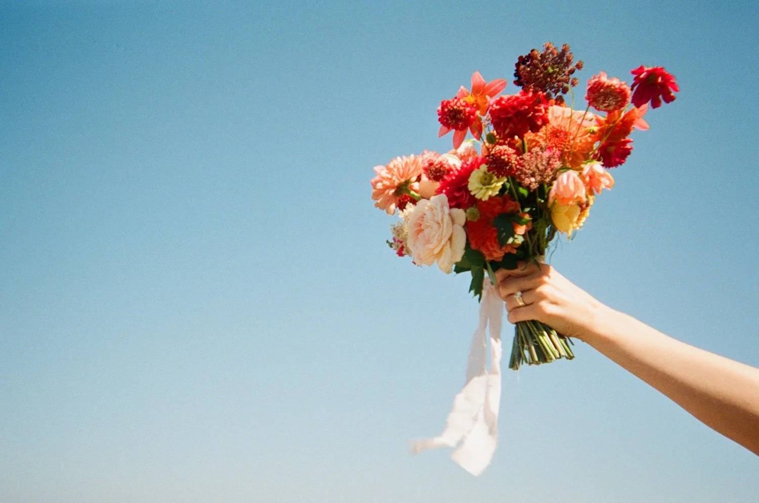 A bouquet held up to the sky on color 35 mm film