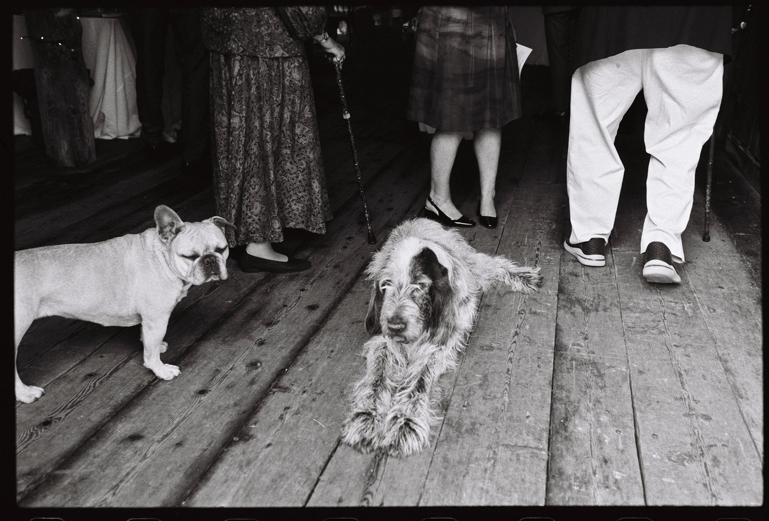 private-estate-rehearsal-dinner-maine-1.jpg