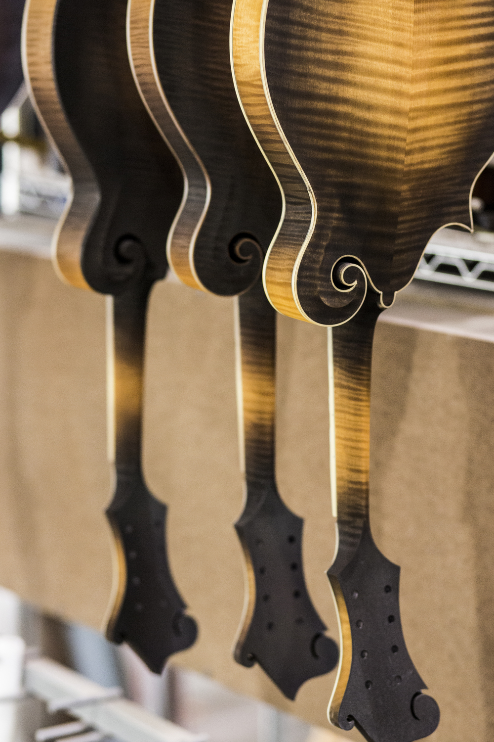 COLLINGS_guitars__8.jpg