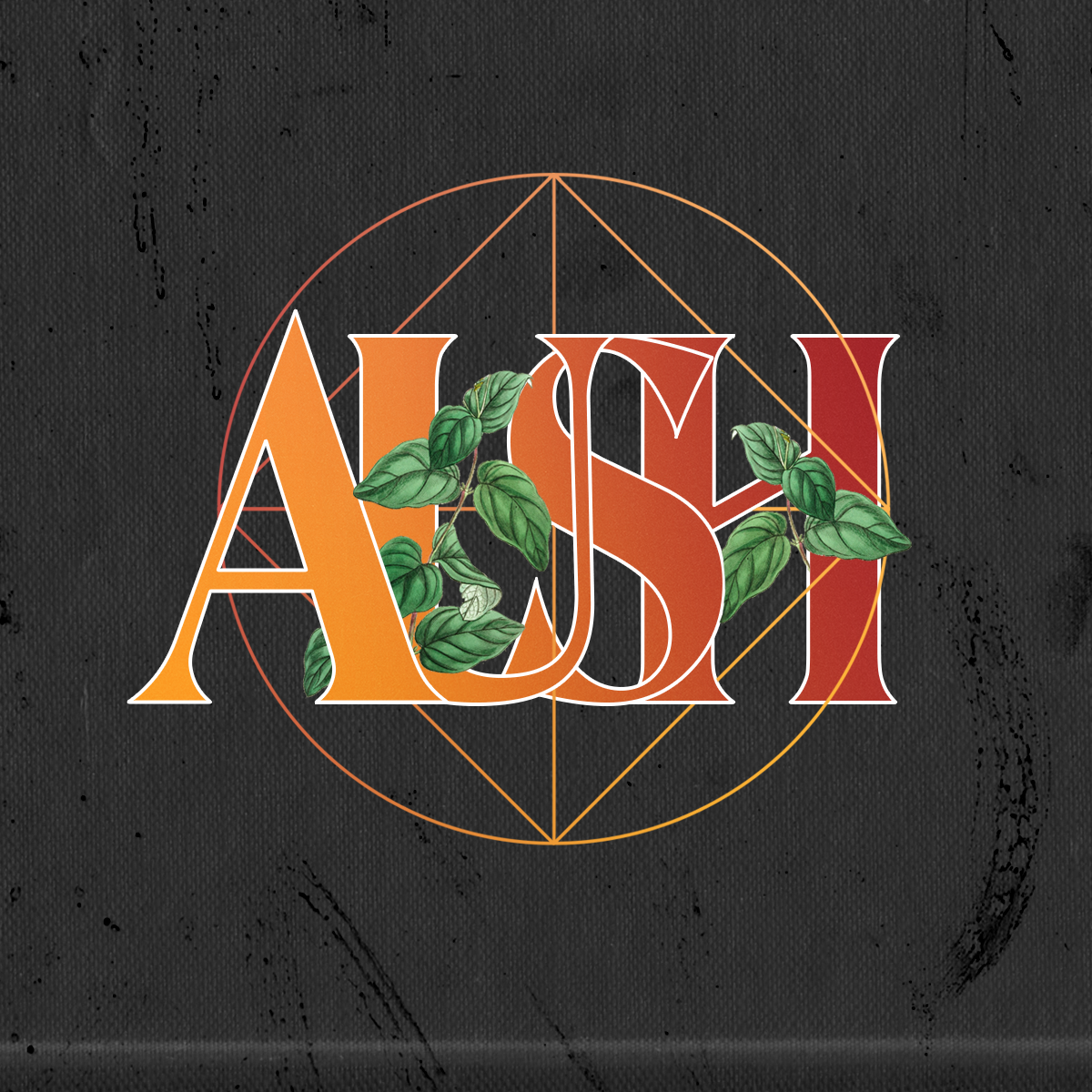 AUSH-3.0.png