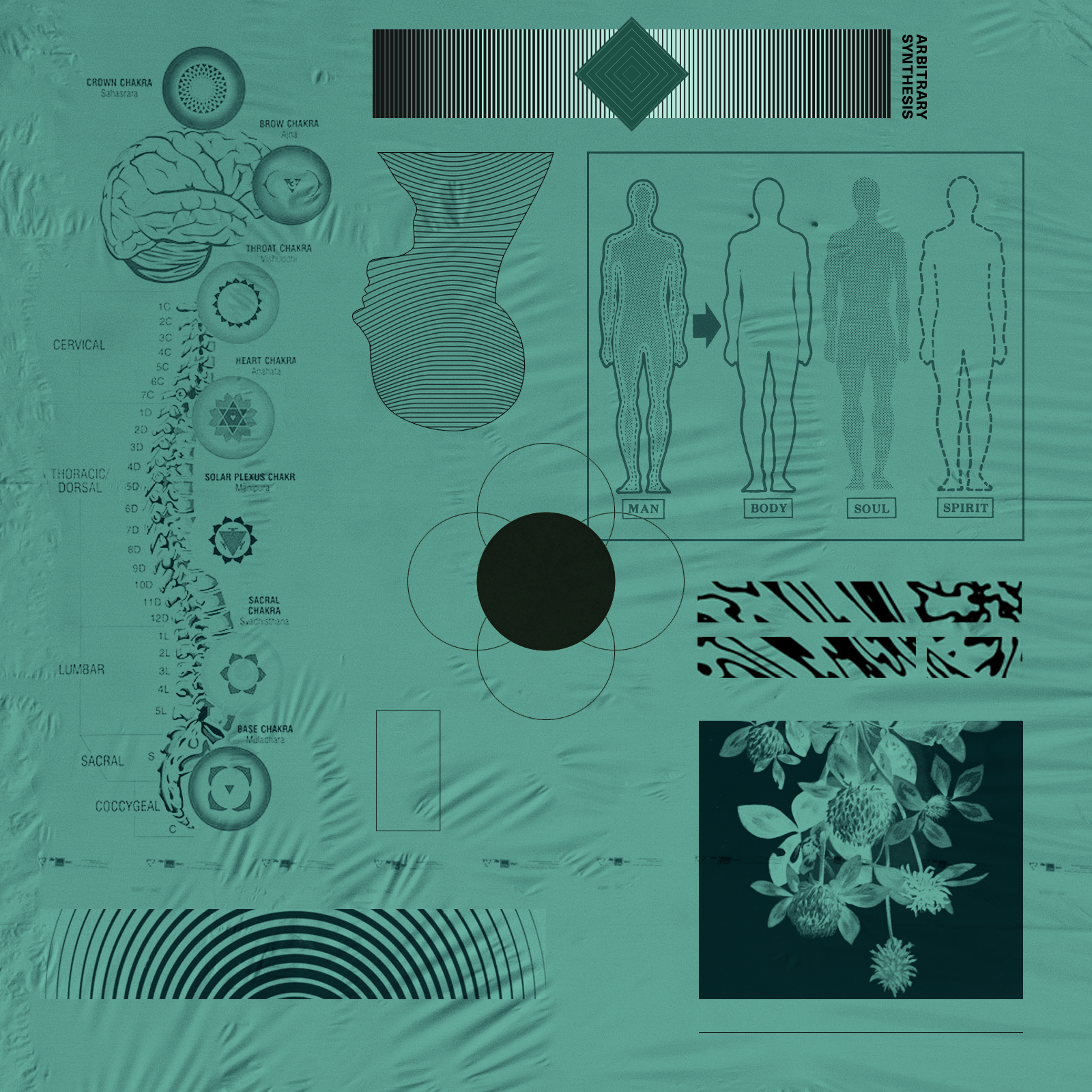 Mint-Anatomy.png