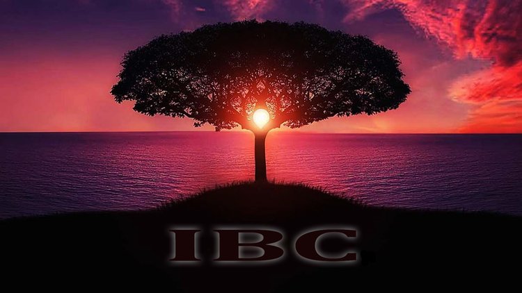 IBC - Iva Brito 