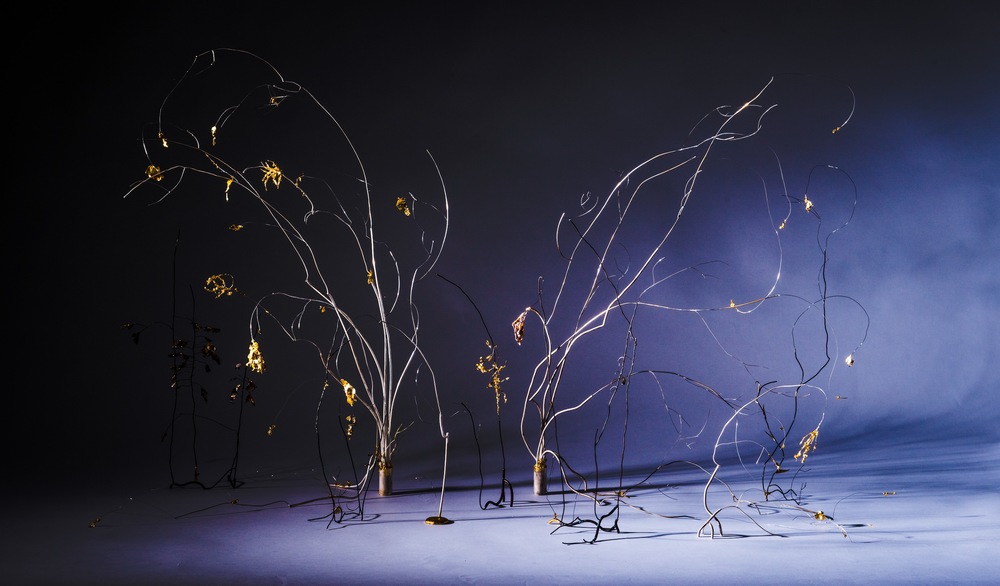 Folium and Barren land series