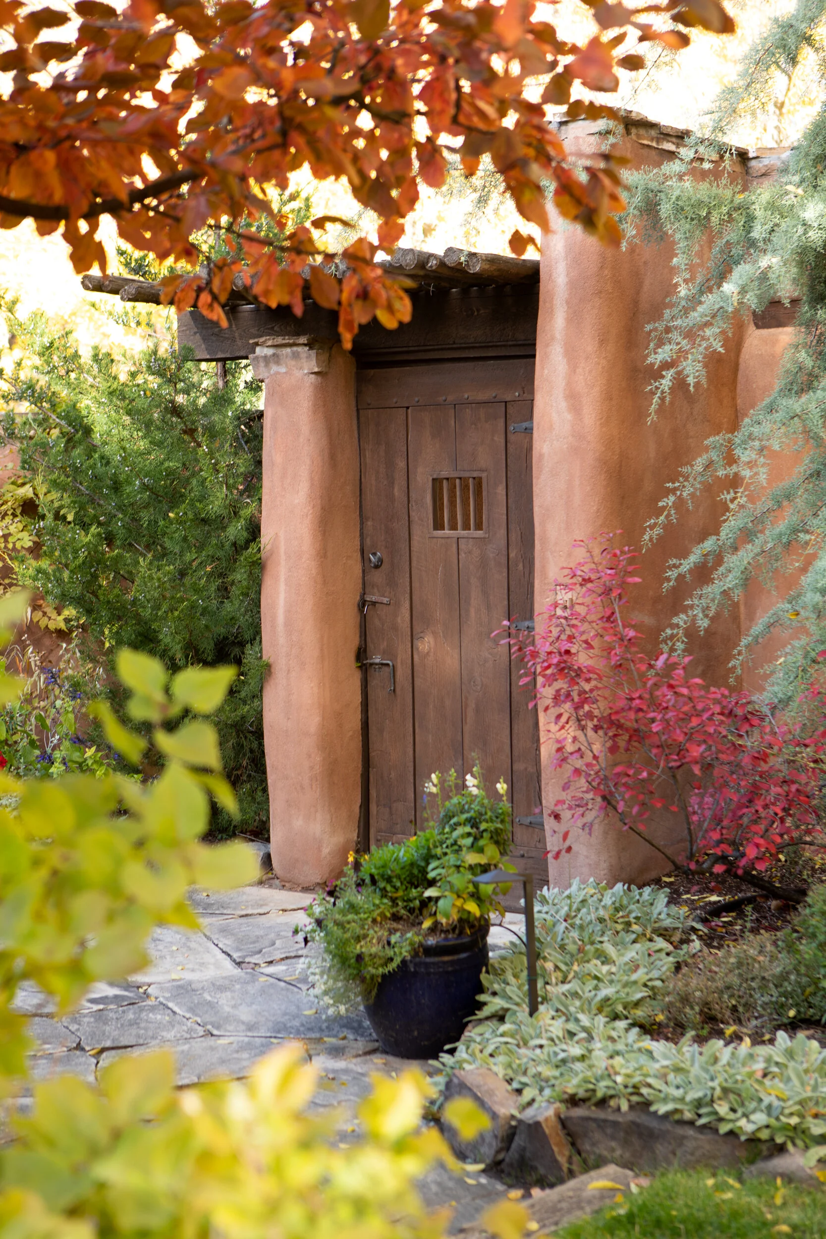 A rustic wooden door set in a stucco wall, surrounded by colorful bushes and plants in a garden setting.