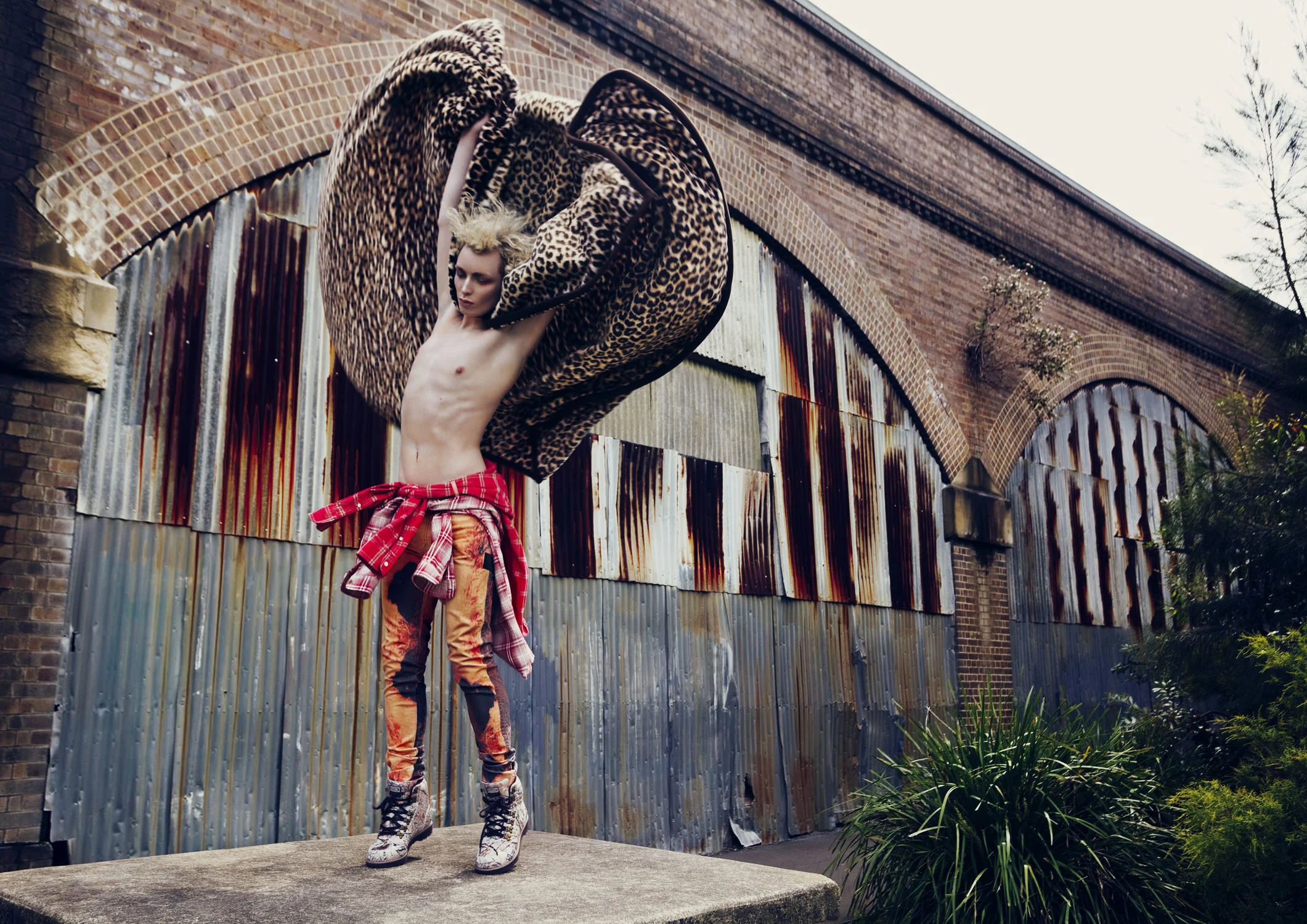 Cooper & Cooper 3.jpg