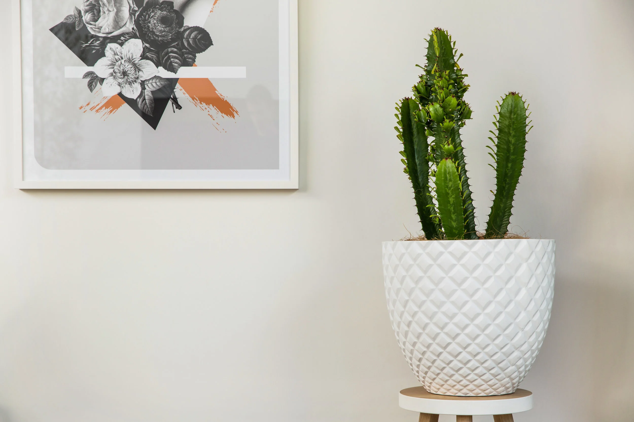 GreenFeatures__754_web.jpg
