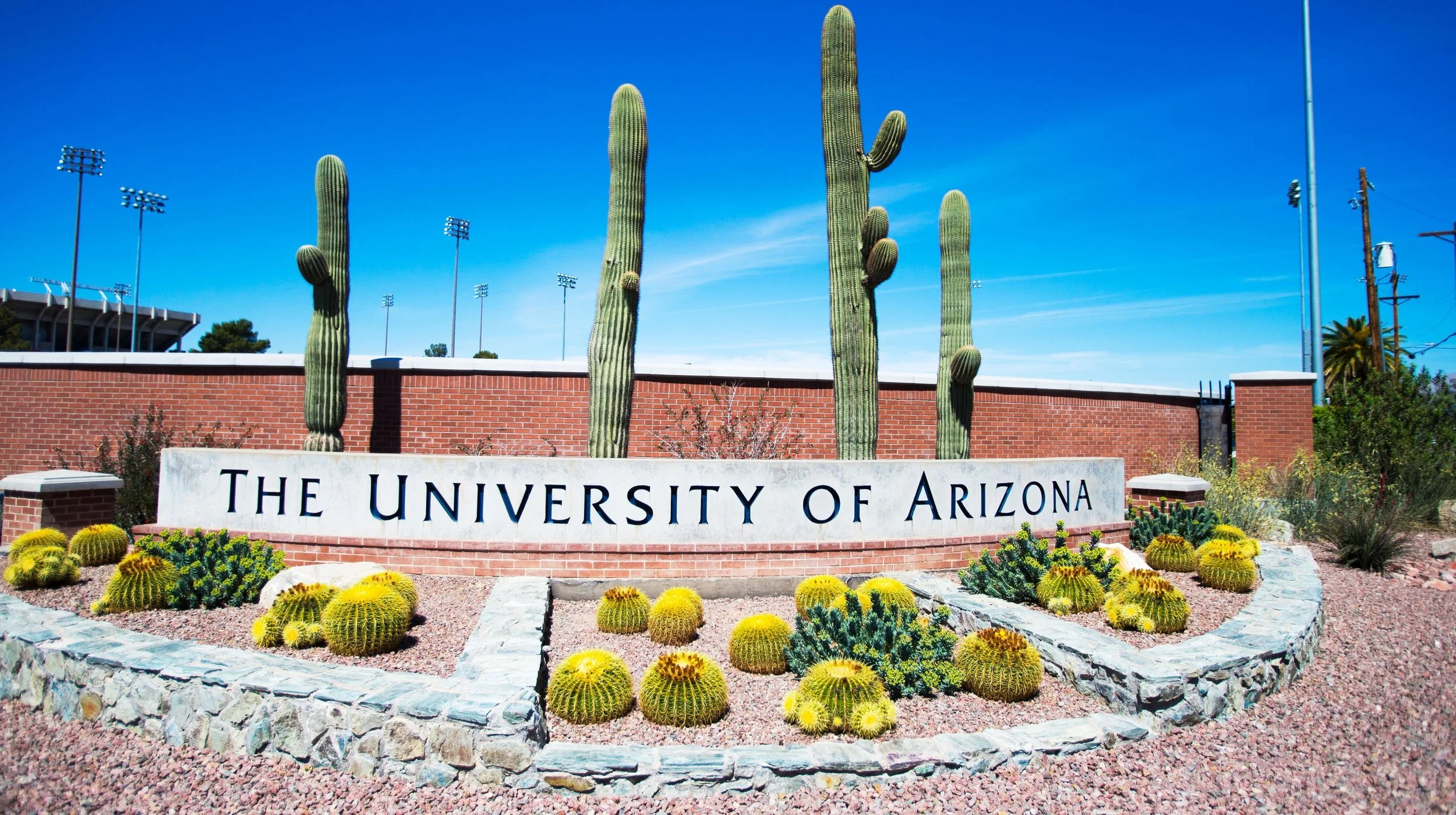 Arizona State University, Tucson