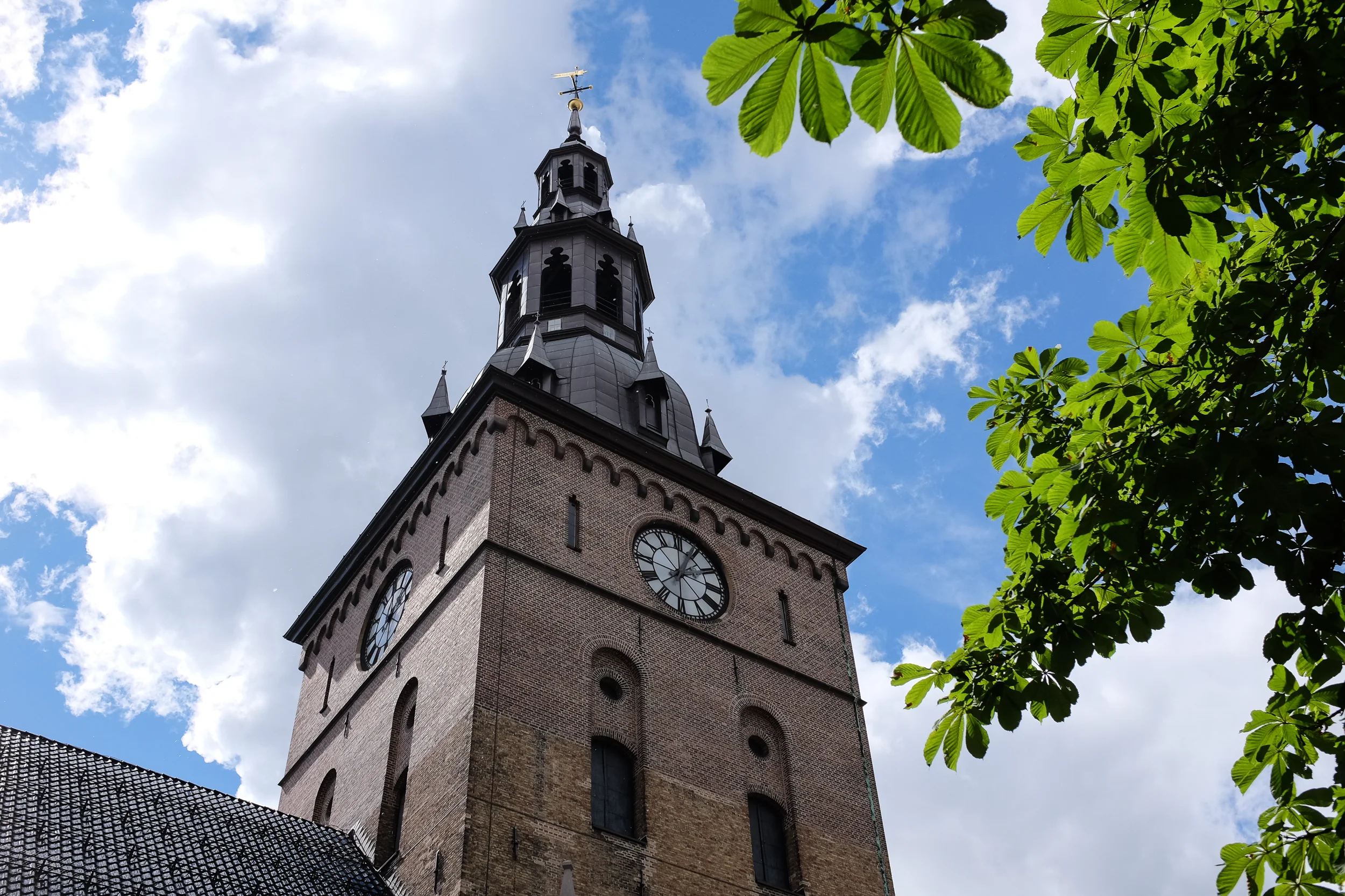 DSCF5240.jpg