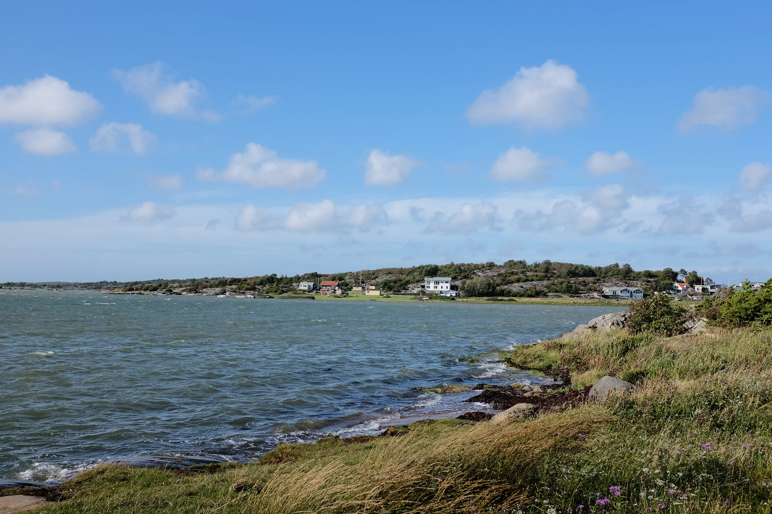 DSCF5296.jpg