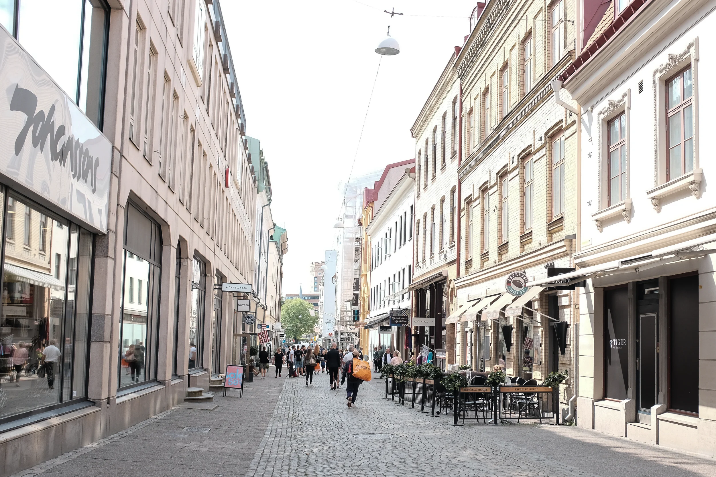 DSCF5588.jpg