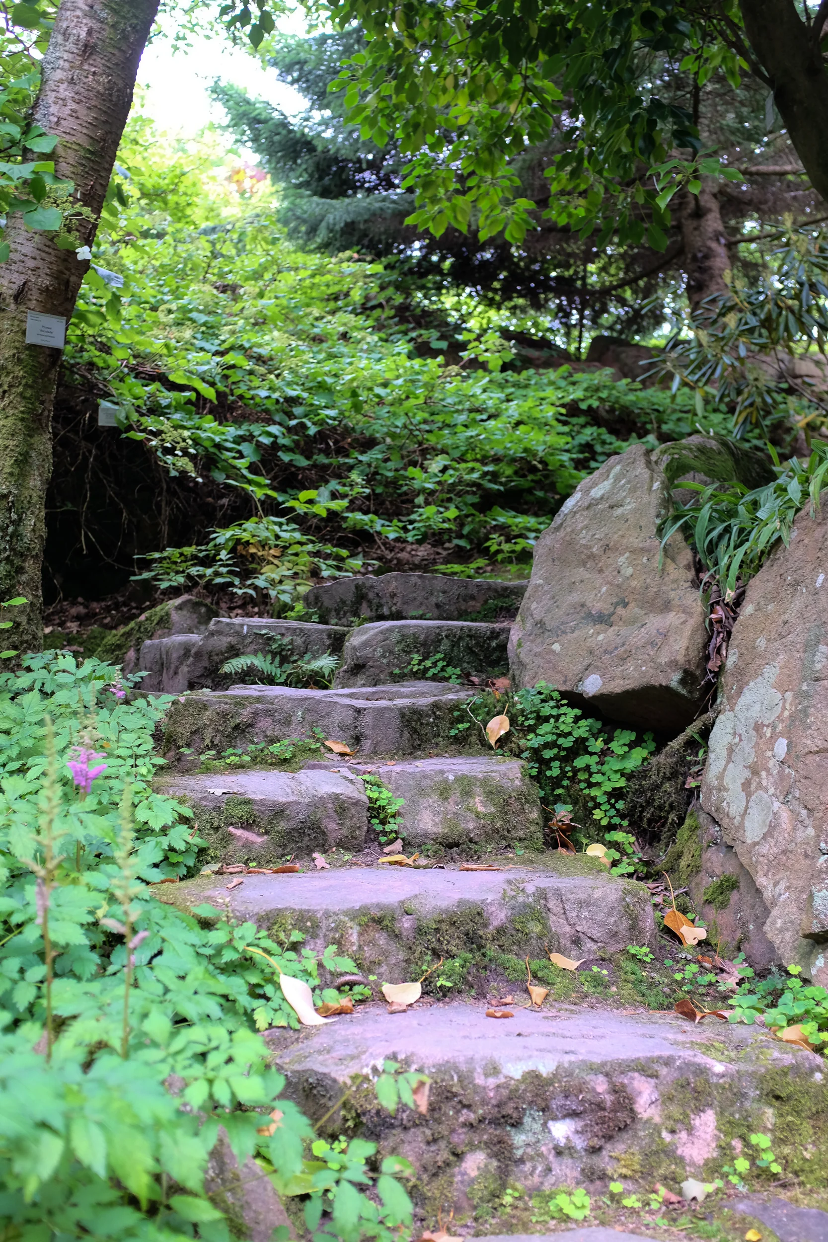 DSCF5627.jpg