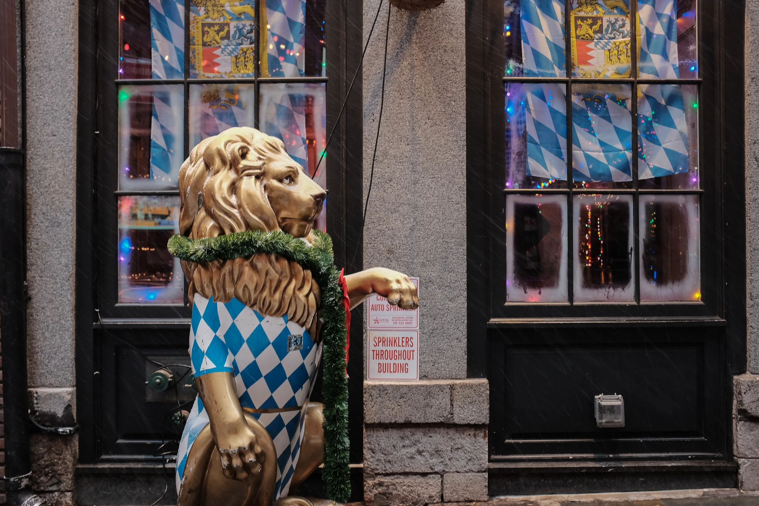 DSCF6867.jpg