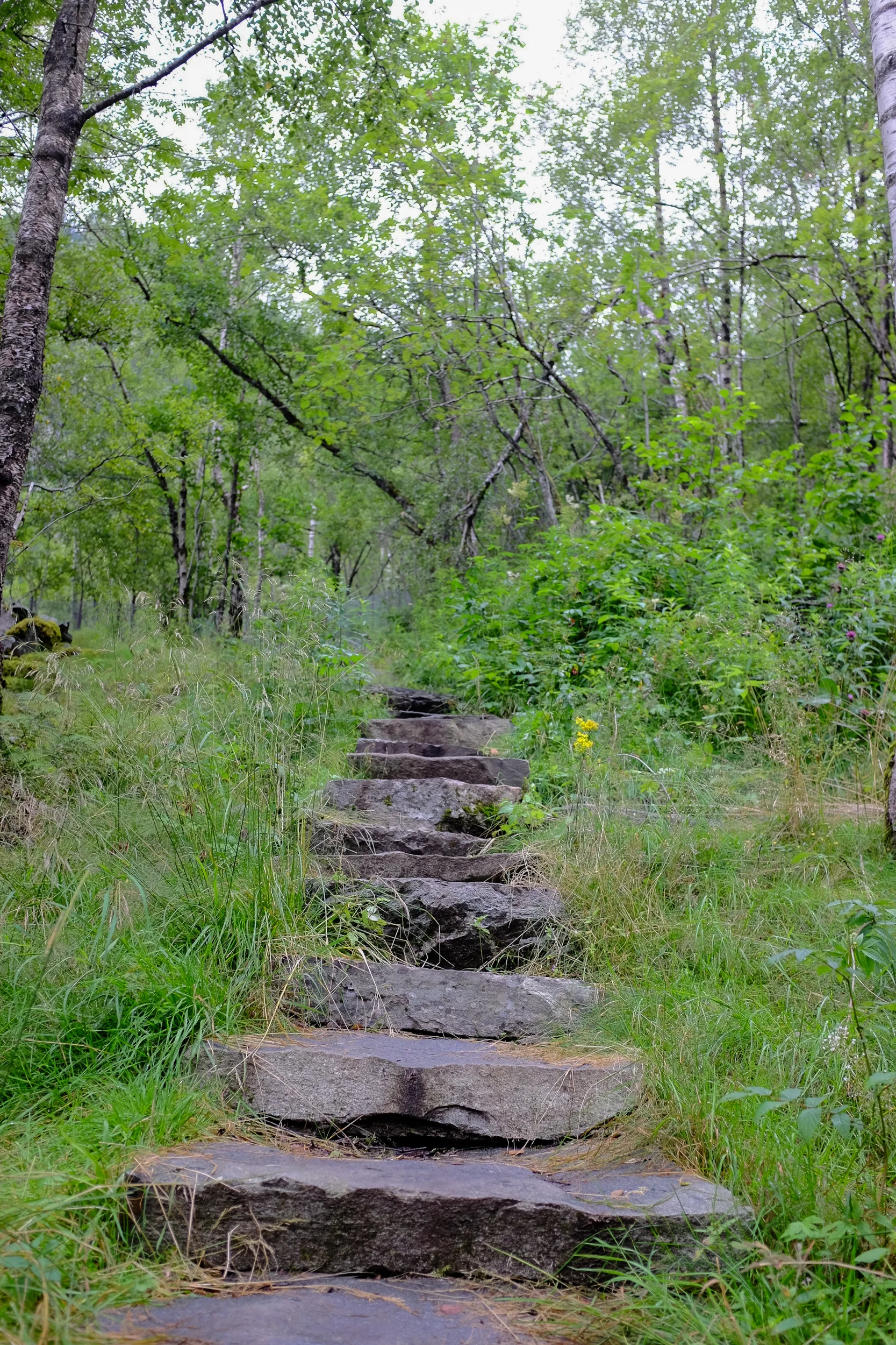 DSCF5852.jpg