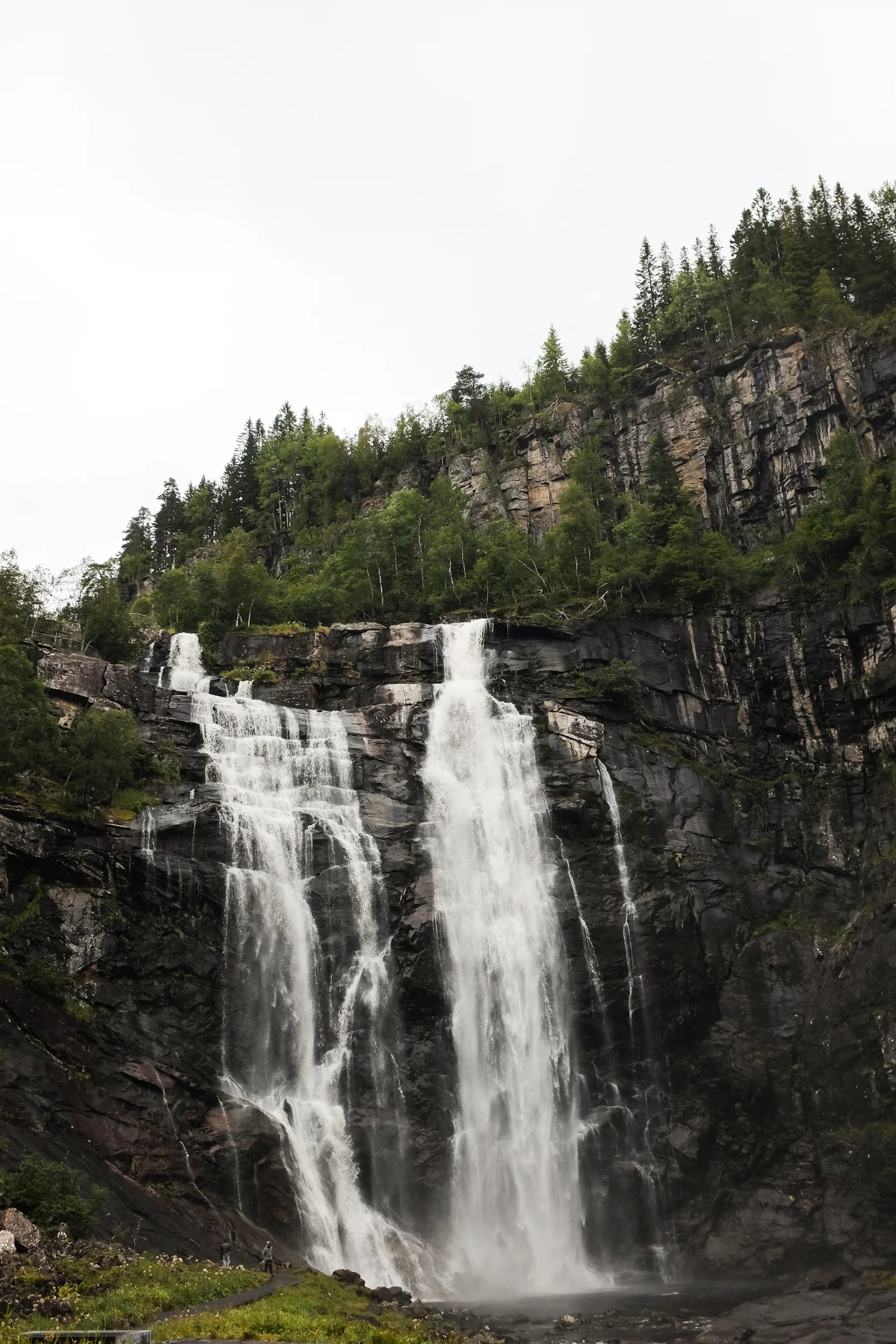 DSCF5861.jpg