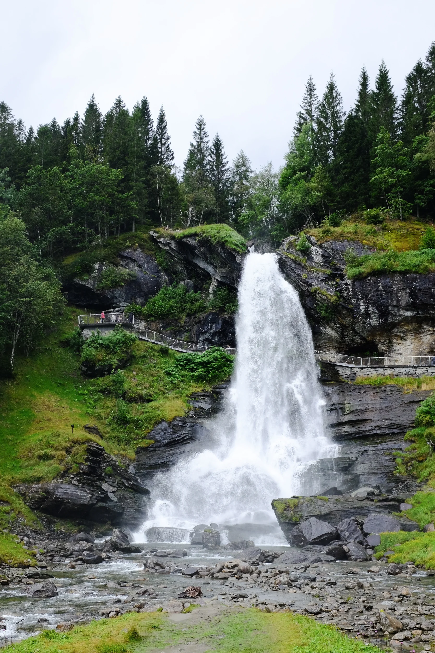 DSCF5919.jpg