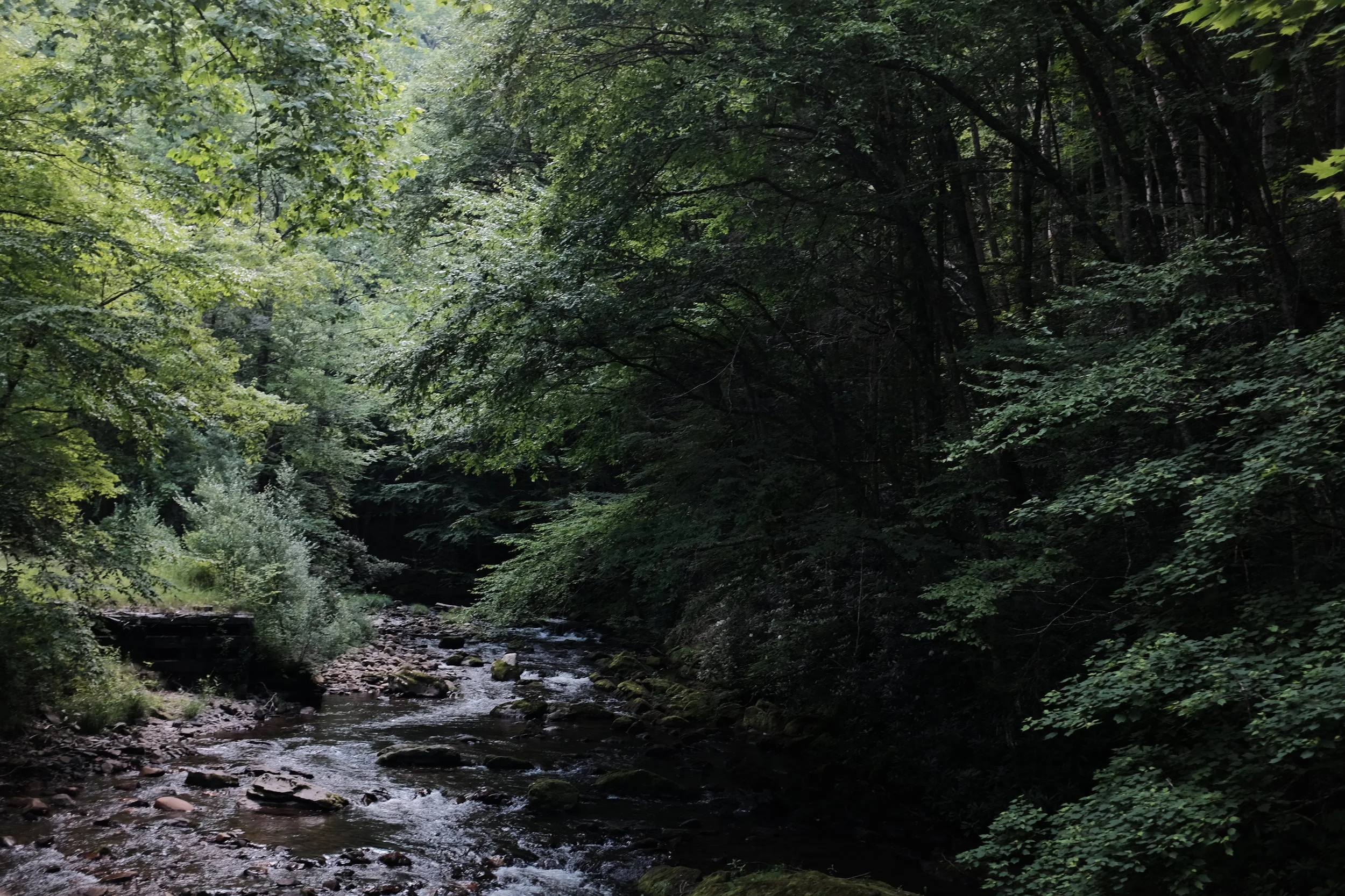 DSCF9254-2.jpg