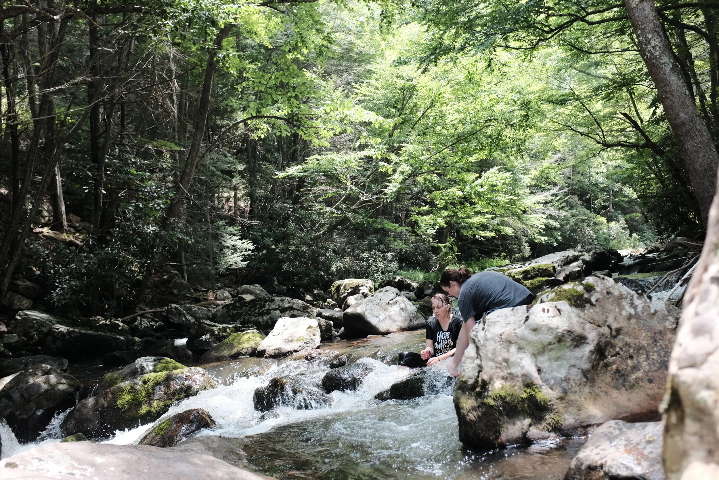 DSCF9290-2.jpg