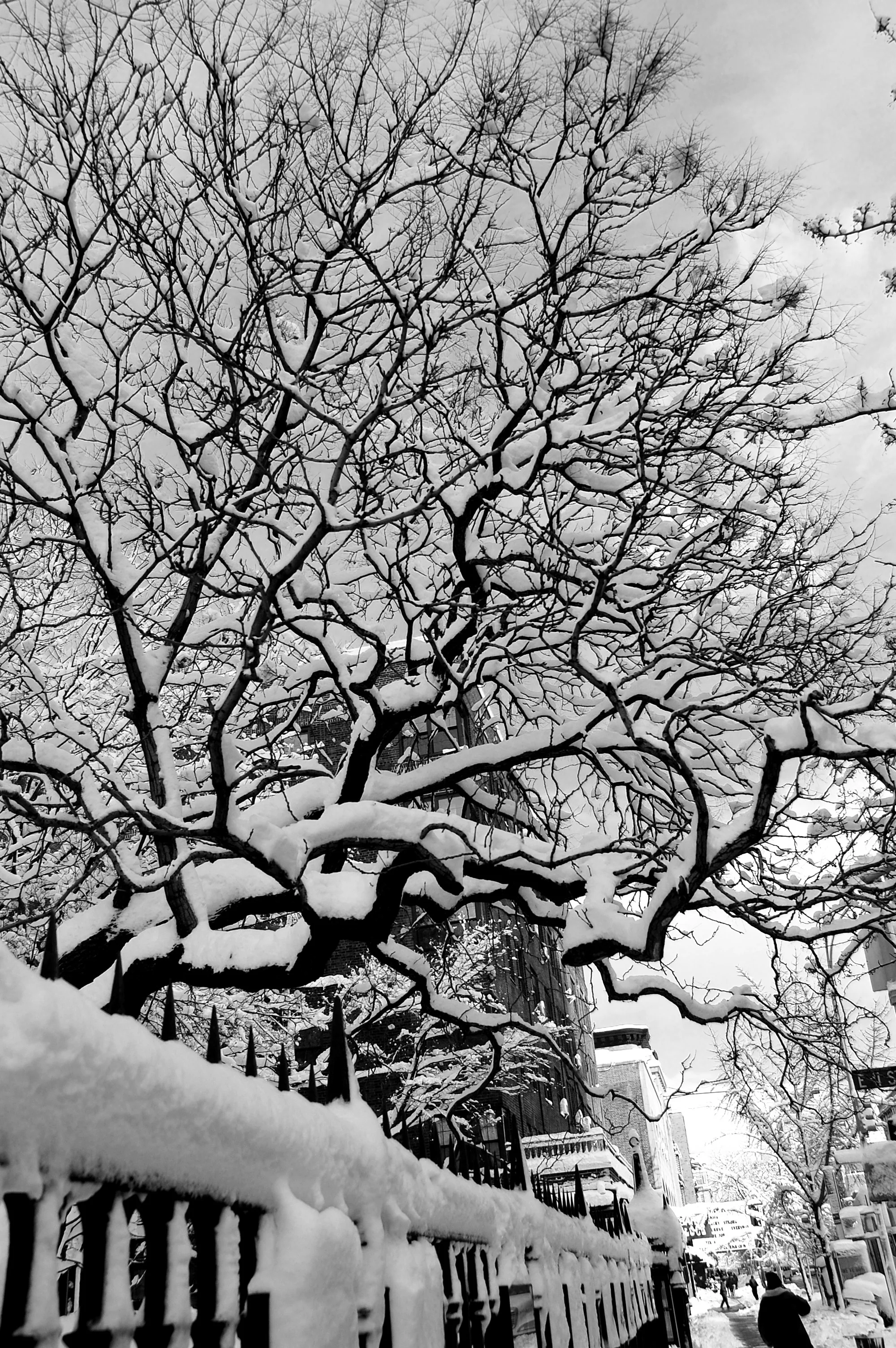 Winter / East Village, NYC