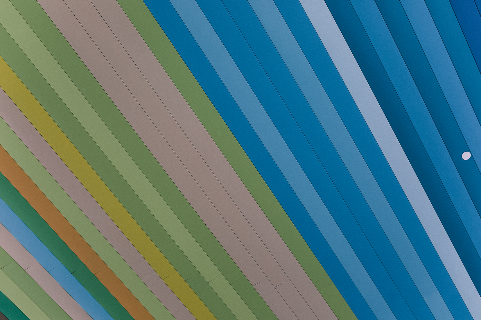 831A6104.jpg
