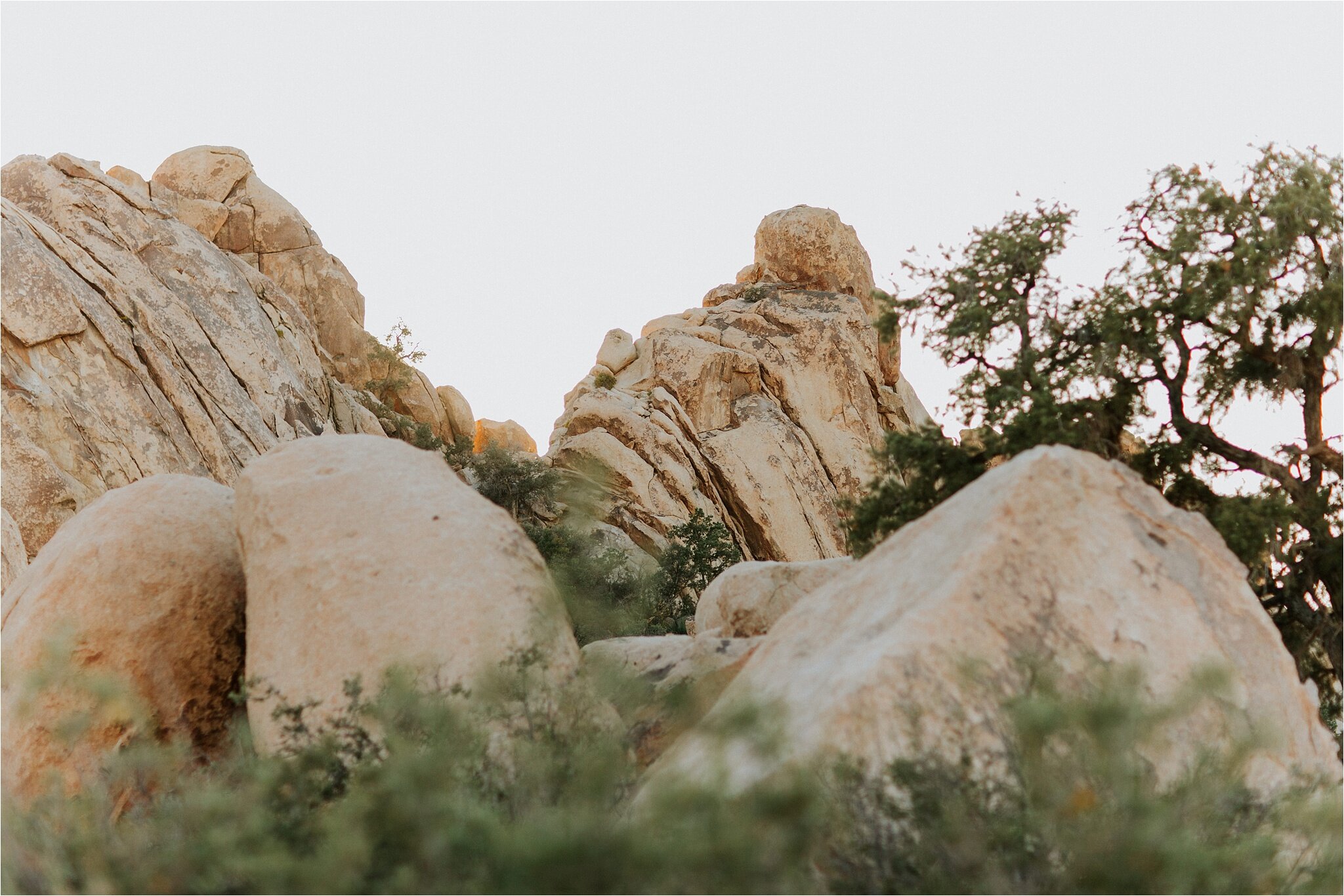 kandace_photography-joshua_tree_engagament_0027.jpg