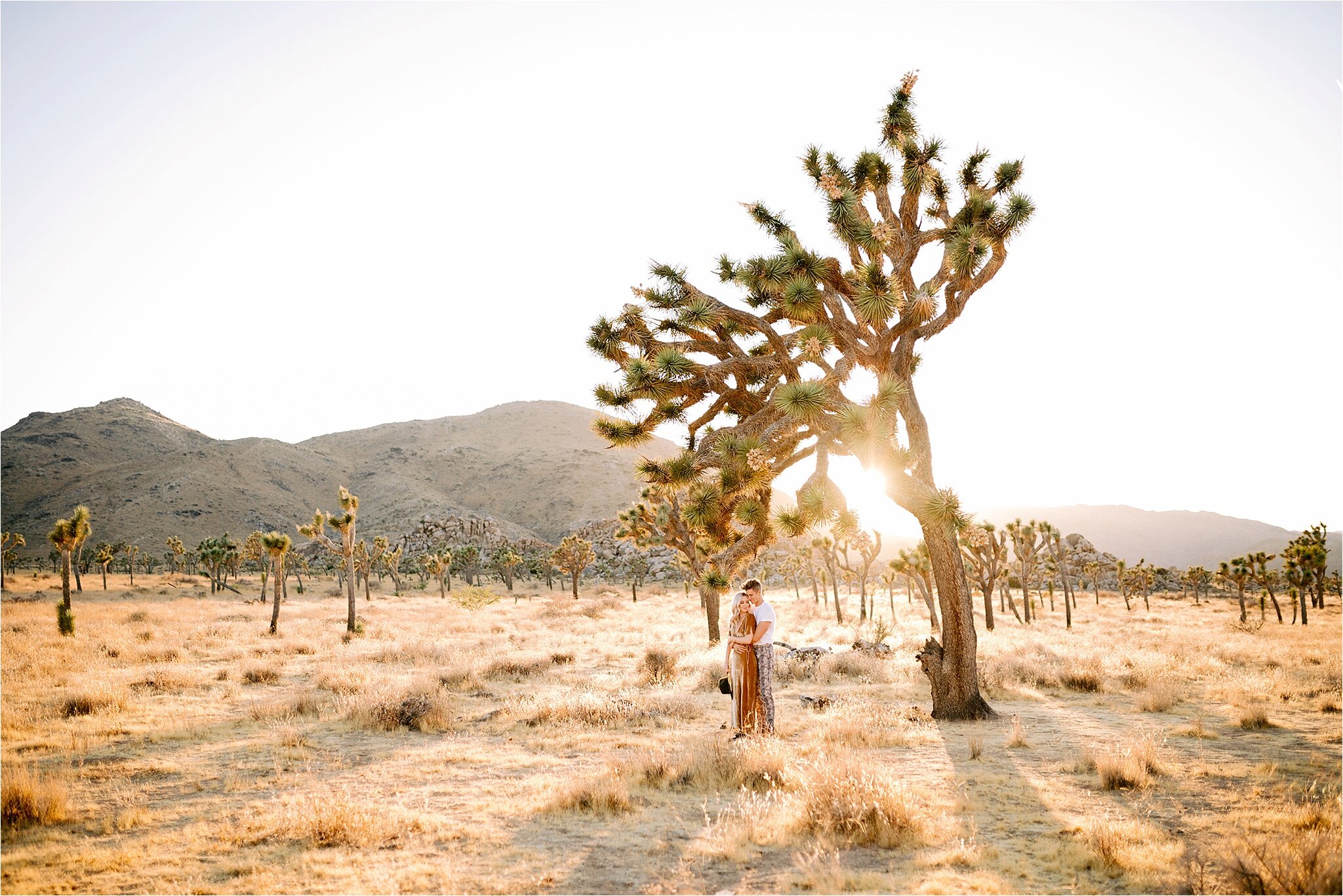 kandace_photography-joshua_tree_engagament_0032.jpg