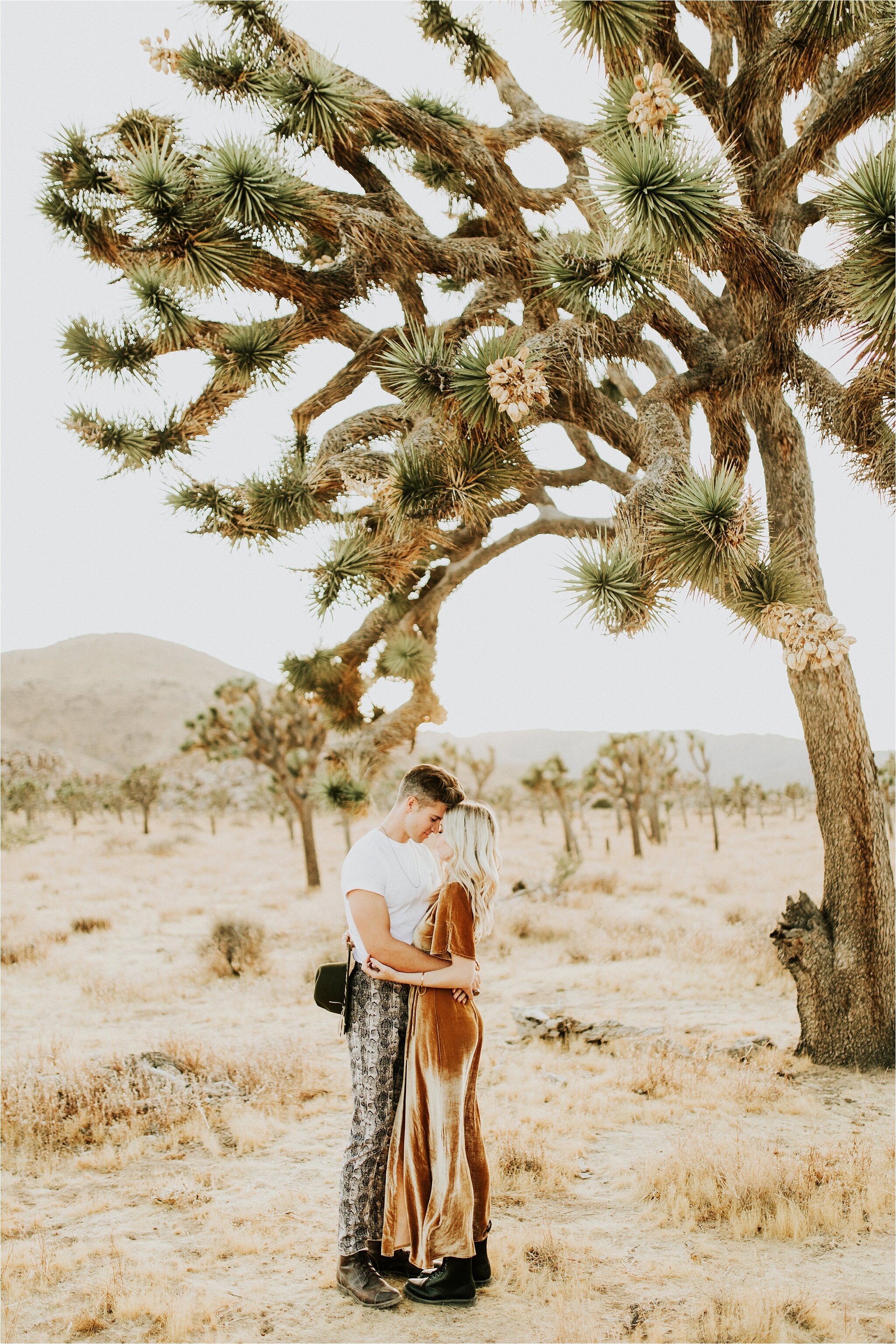 kandace_photography-joshua_tree_engagament_0039.jpg