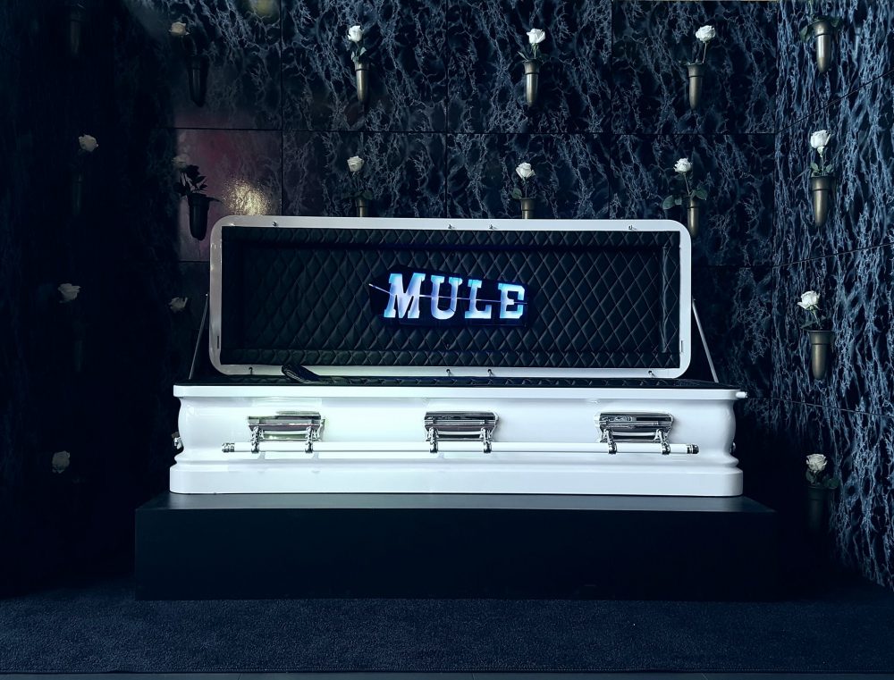 mule-1000x761.jpg
