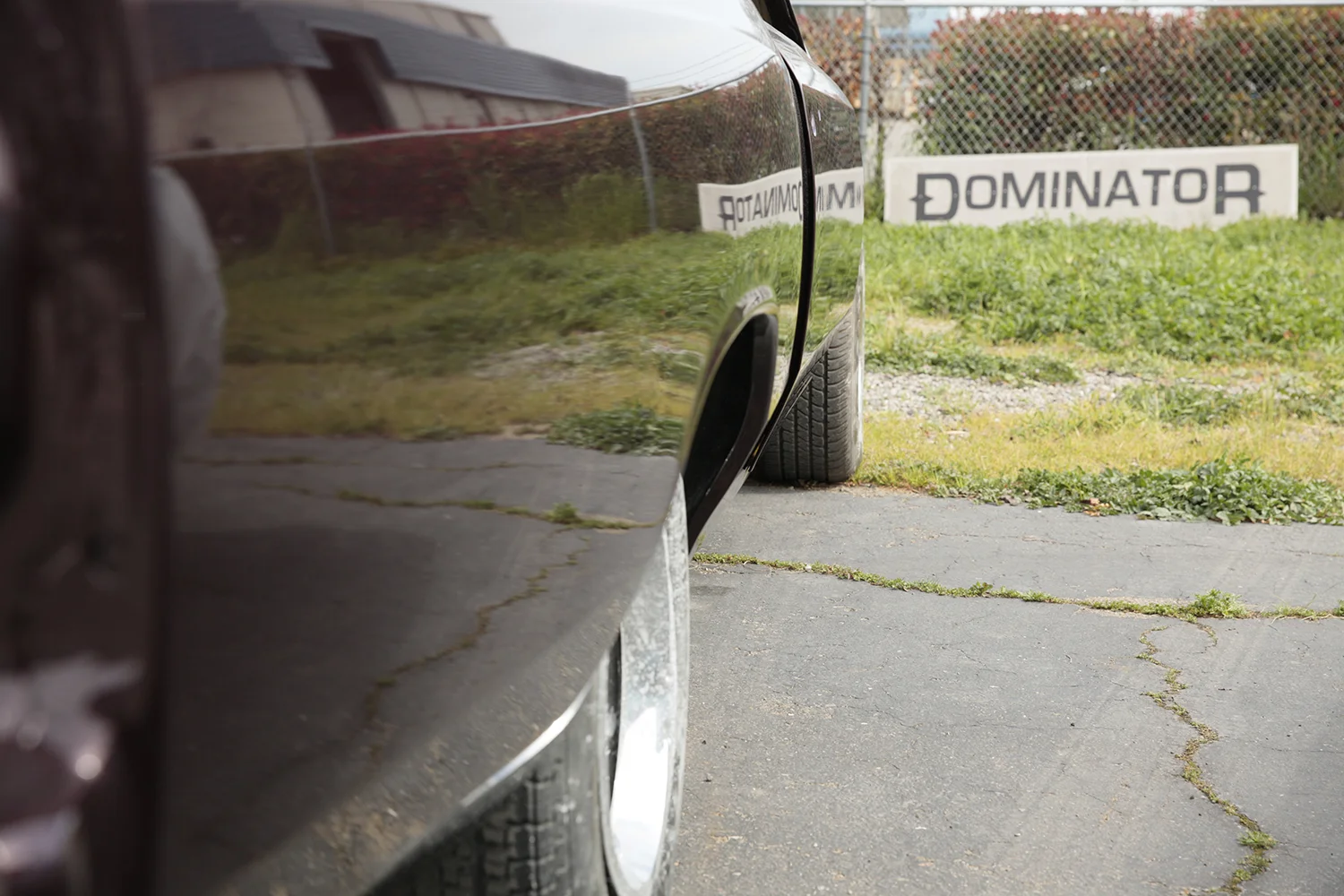 Compact_MG_2464.jpg