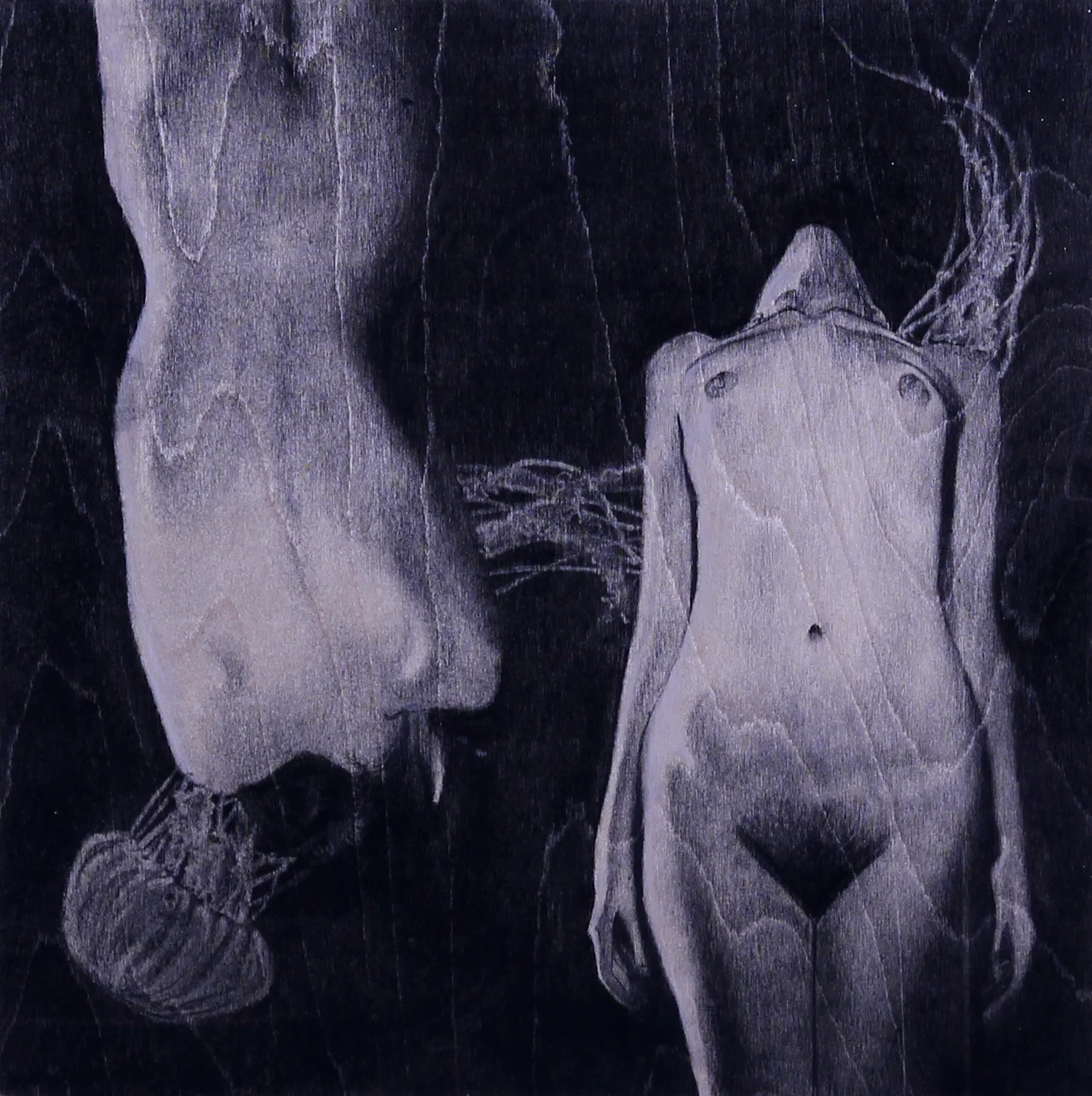  Charcoal on Wood Panel  $300    